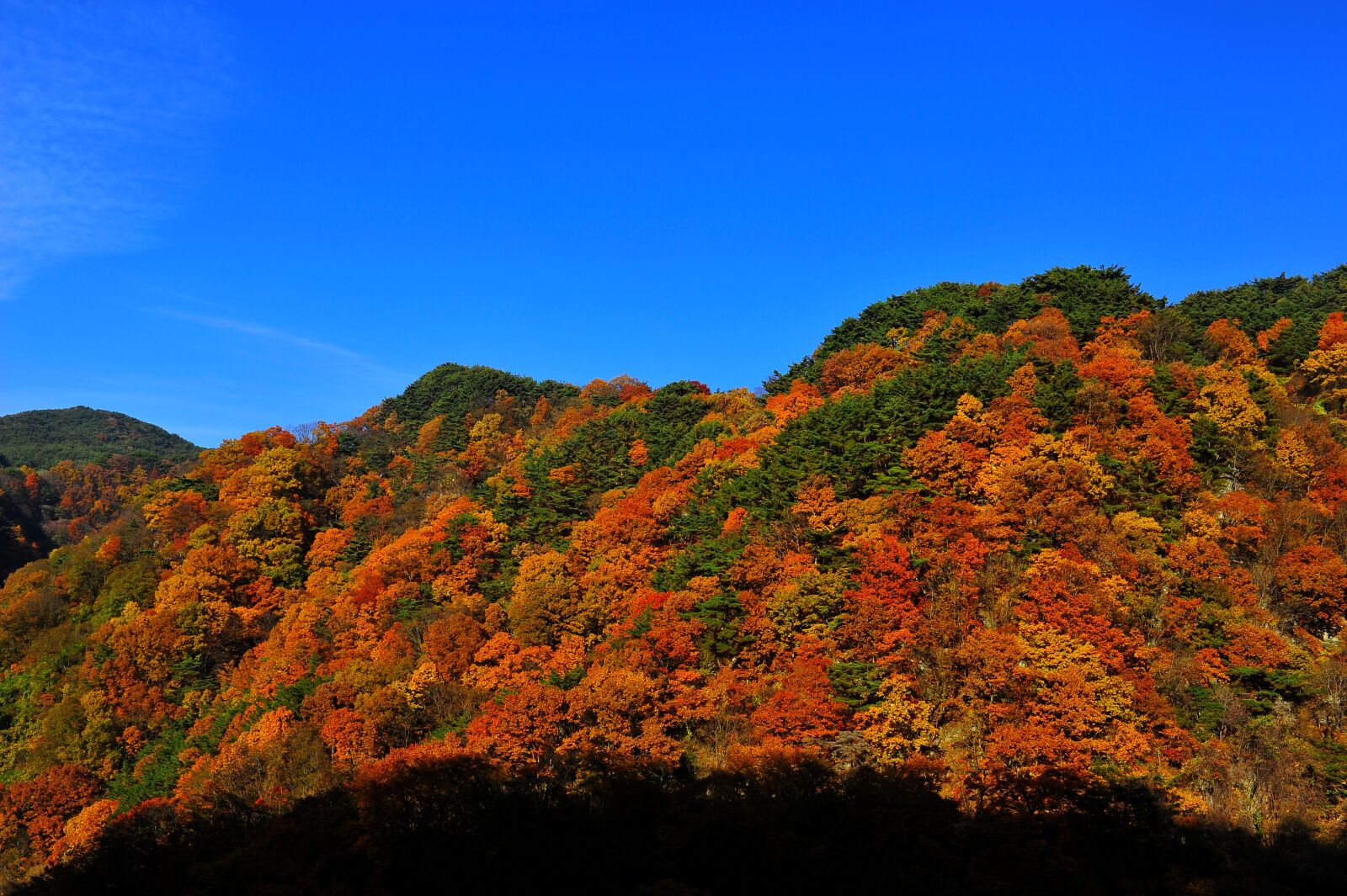 Nikon D3S sample photo. Autumn, gaeulsan, autumn leaves photography