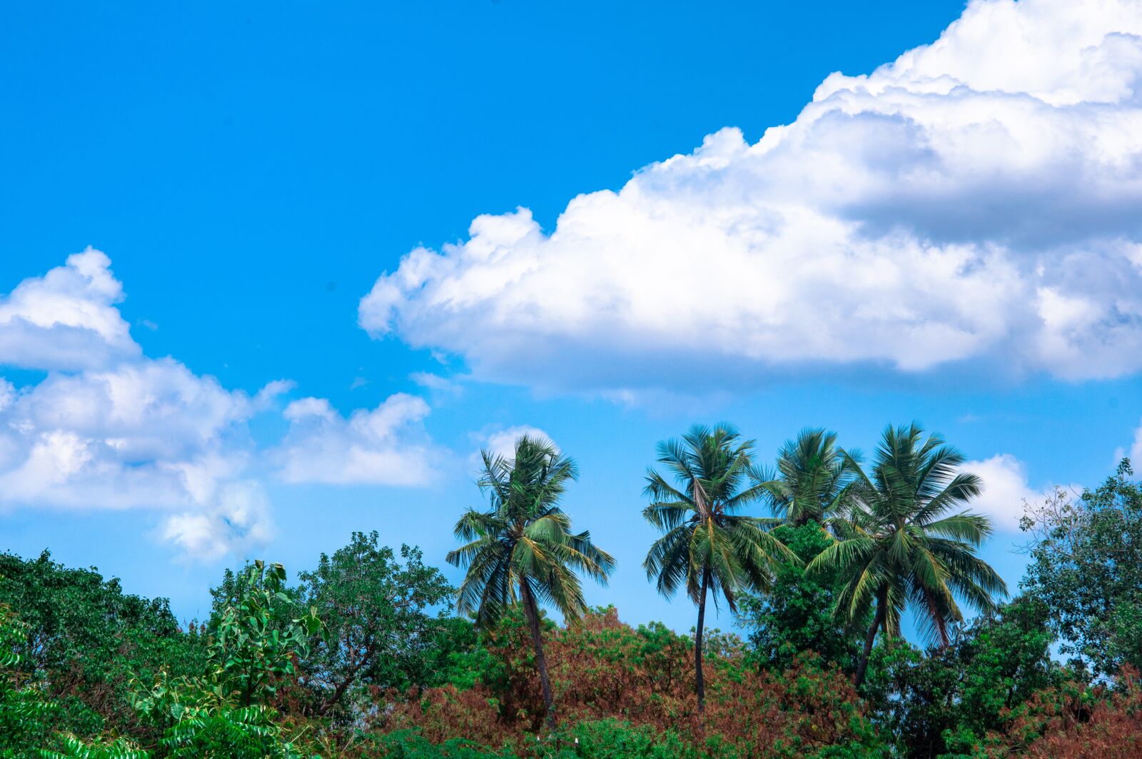 Nikon D90 sample photo. Nature, landscape, clouds photography
