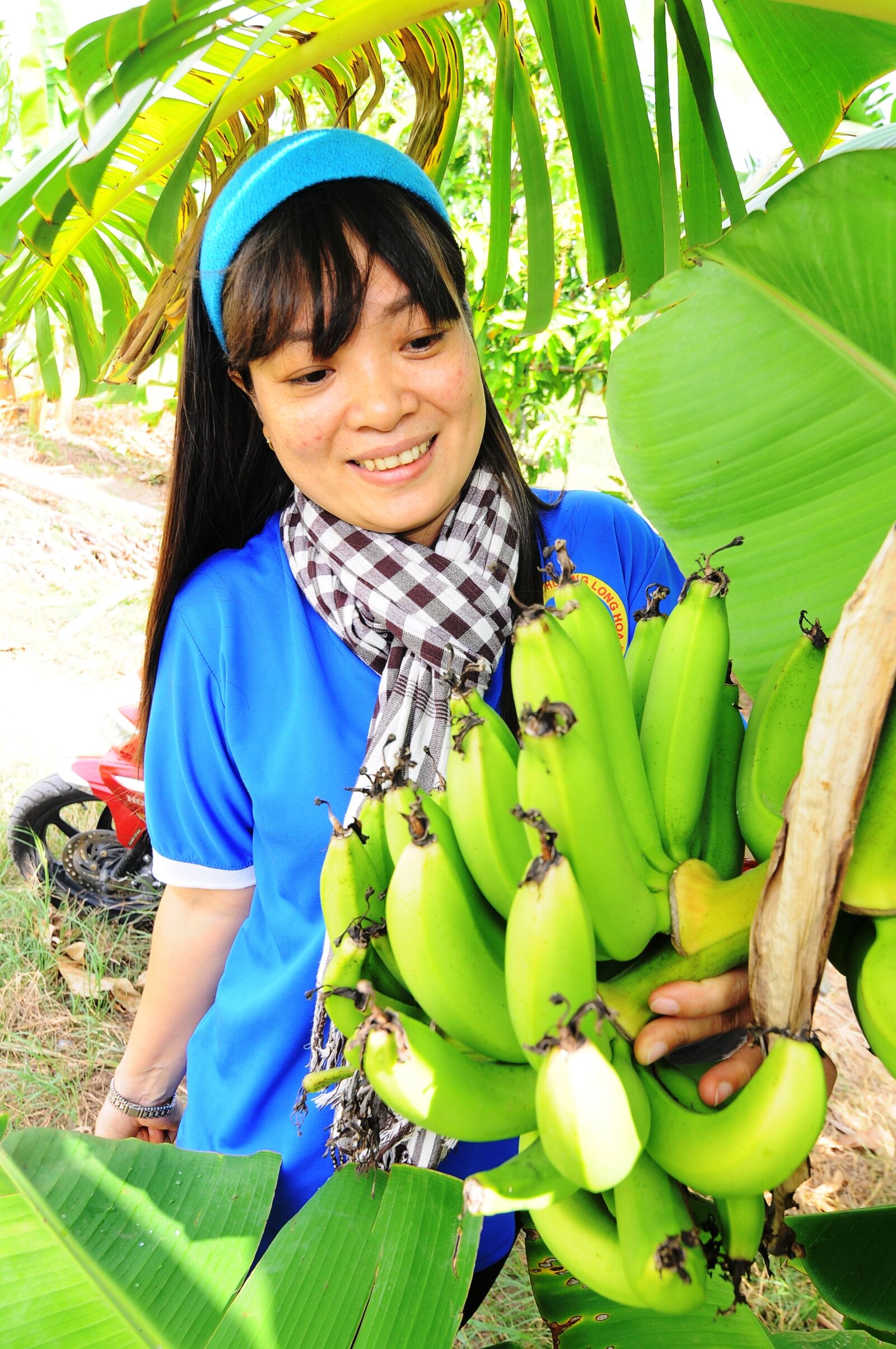 Nikon D90 sample photo. Pear, tet holiday, vietnam photography