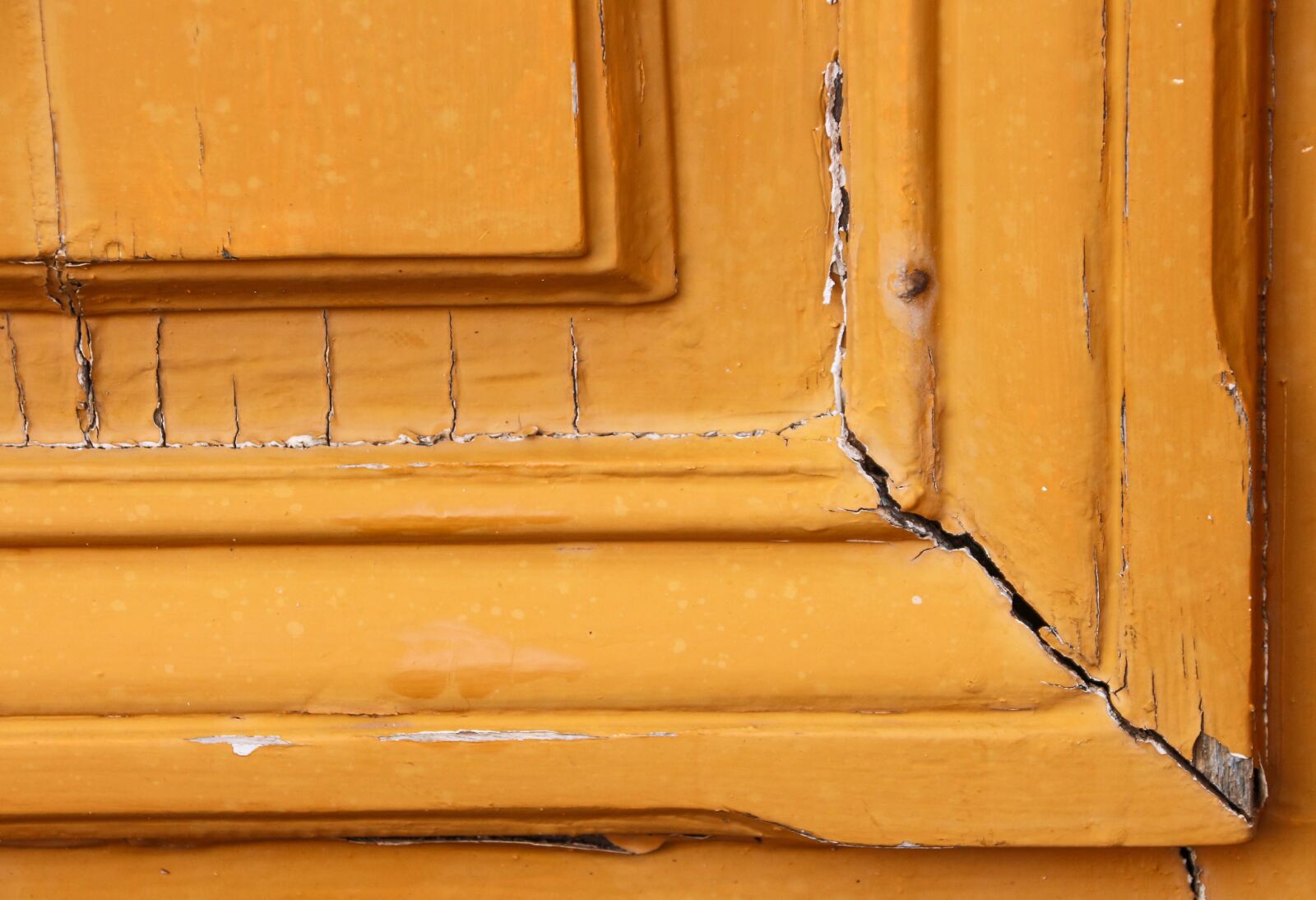 Canon EOS 650D (EOS Rebel T4i / EOS Kiss X6i) sample photo. Wood, door, paint photography