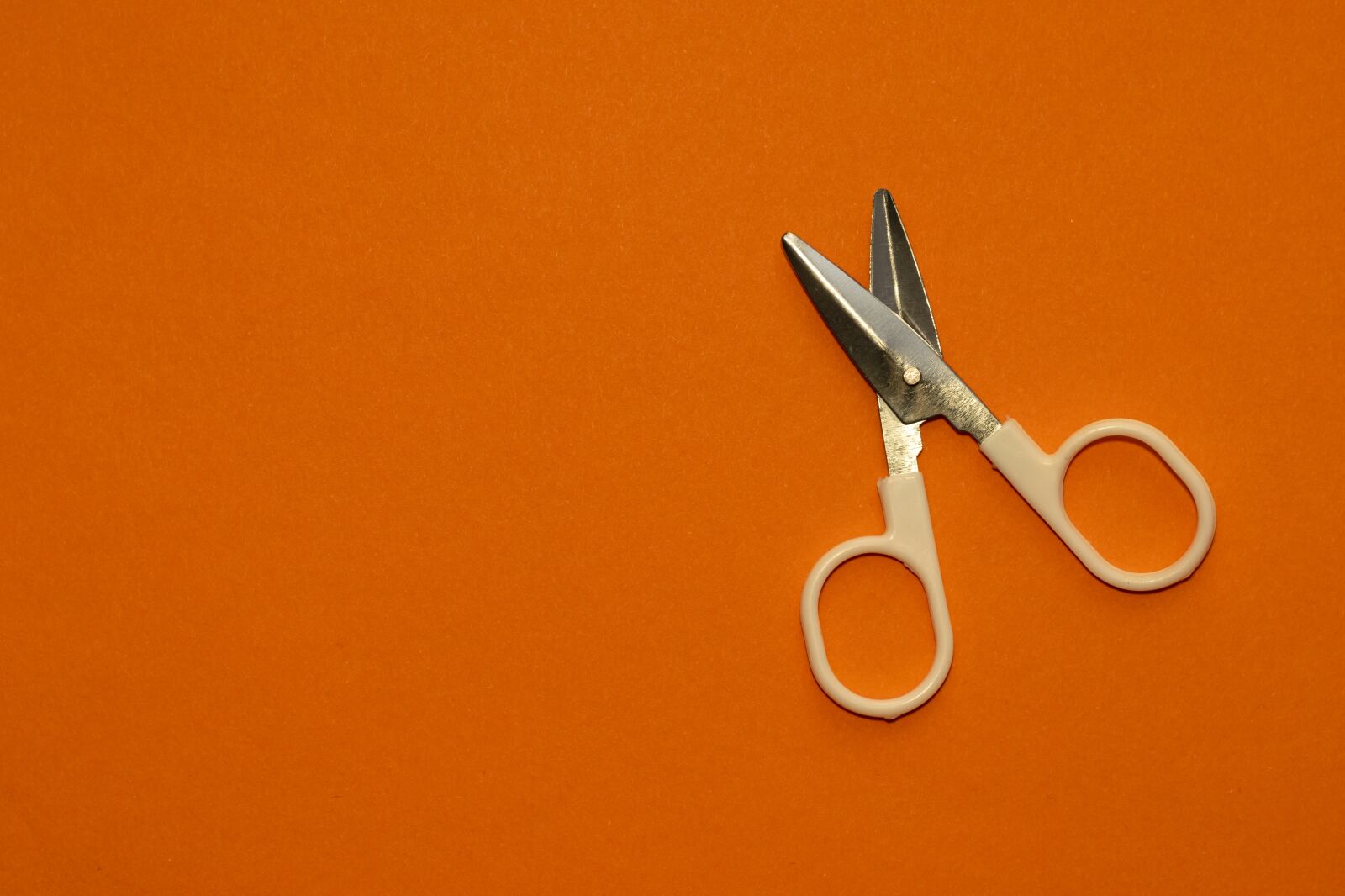 Nikon D5300 sample photo. Scissors, tool, cut photography