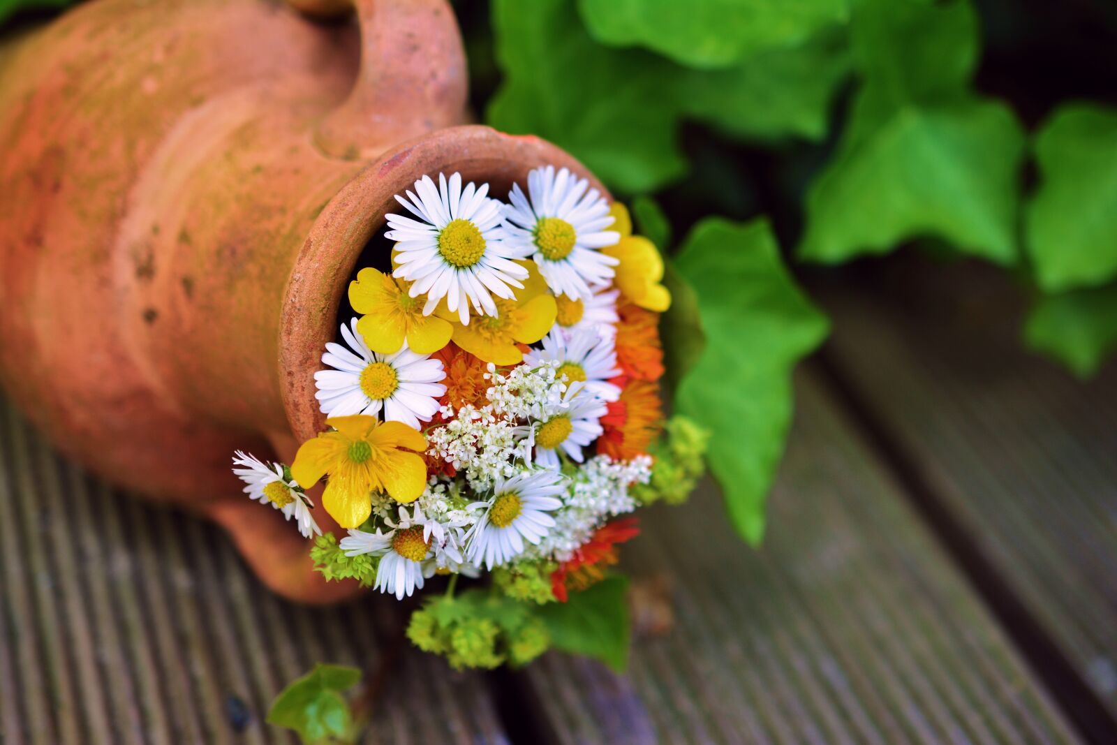 Nikon D5200 sample photo. Bouquet, flowers, garden photography