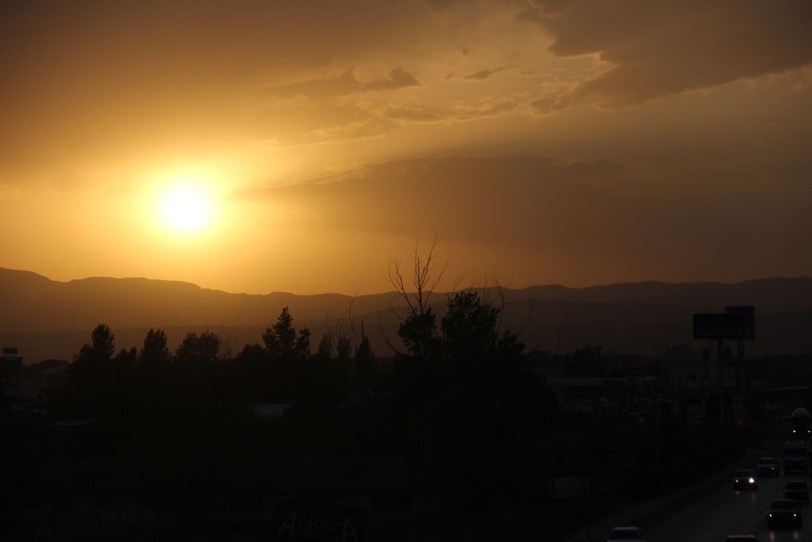 Canon EF-S 18-135mm F3.5-5.6 IS sample photo. Sunset, tree, amazing photography