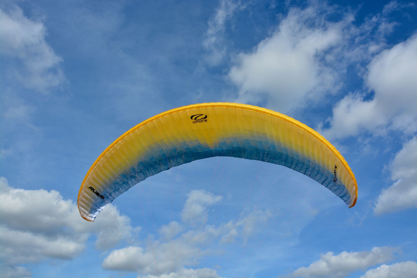 Nikon D5200 sample photo. Paragliding, wing wing wing photography