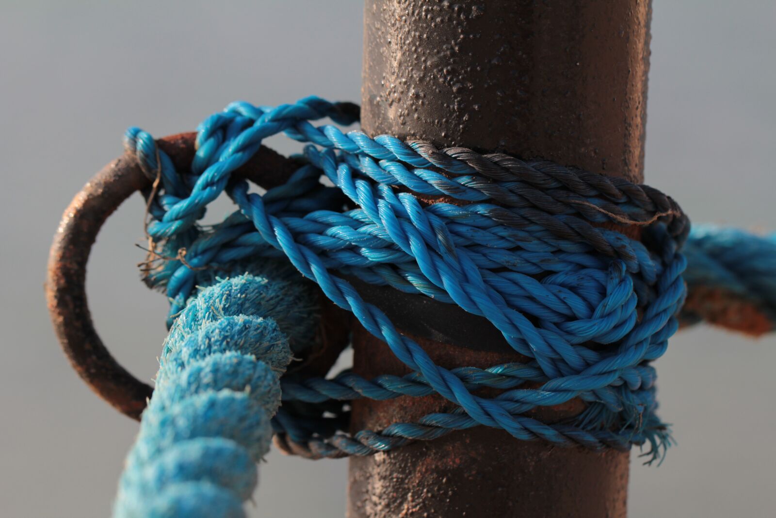 Canon EOS 60D + Canon EF 100mm F2.8L Macro IS USM sample photo. Cord, knot, rope photography