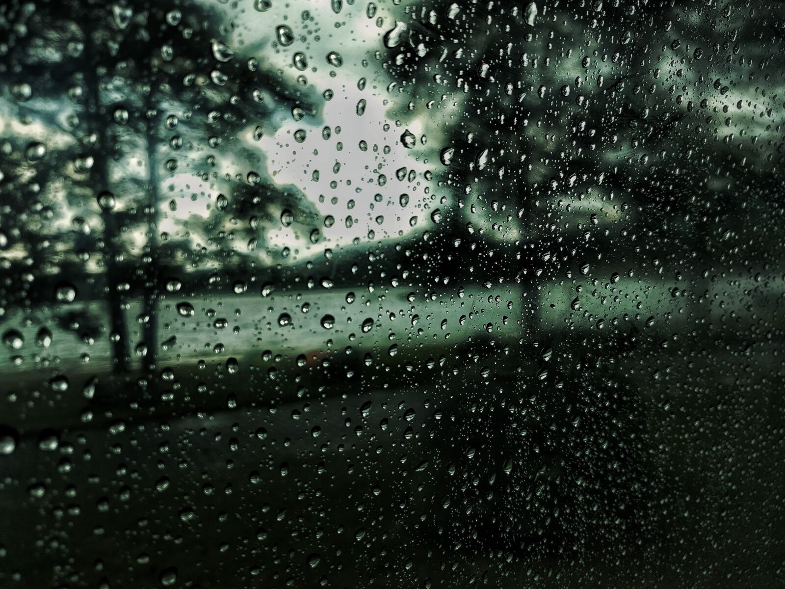 LG Nexus 5X sample photo. Drops, rain, water photography