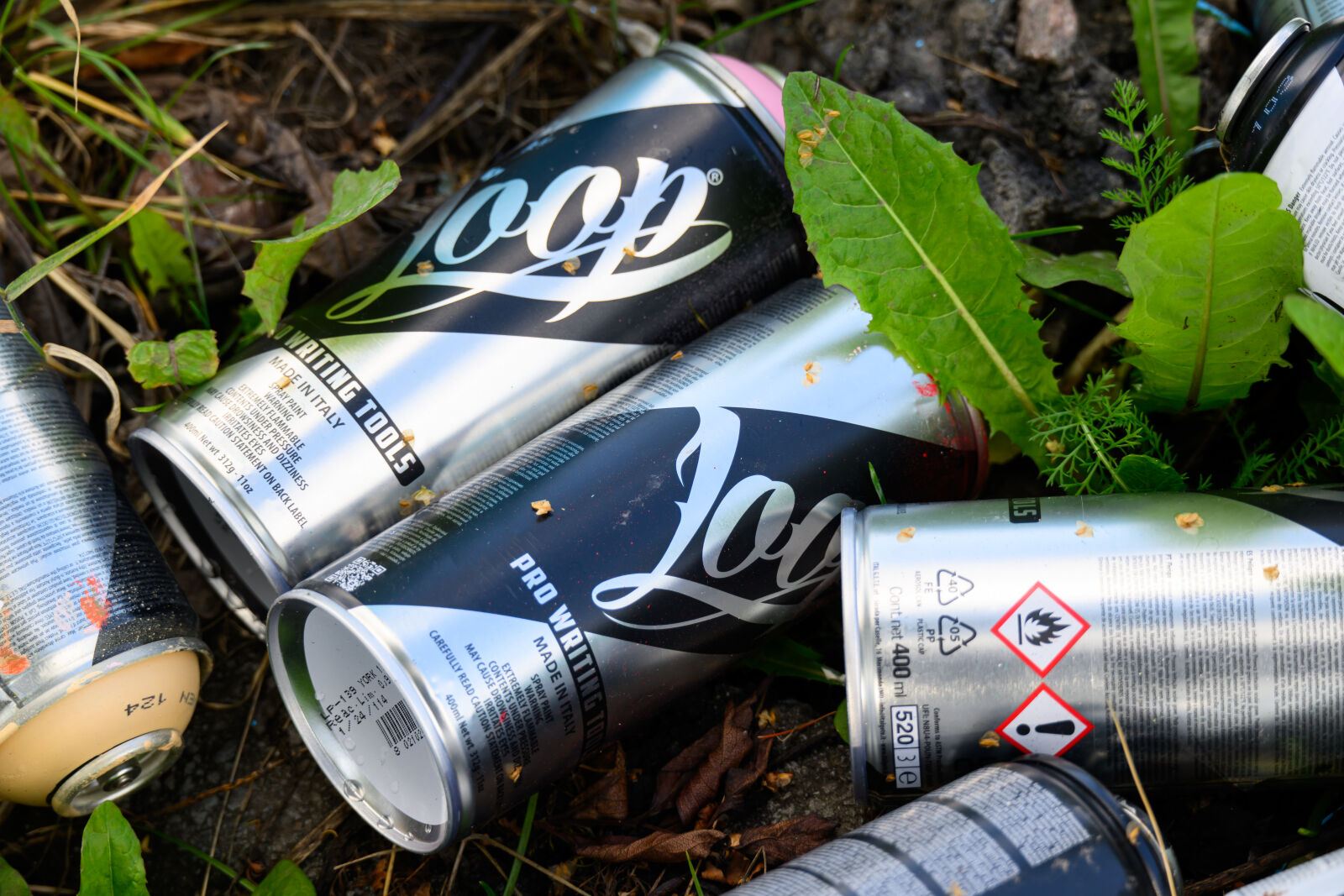 Nikon Z8 sample photo. Graffiti littering photography