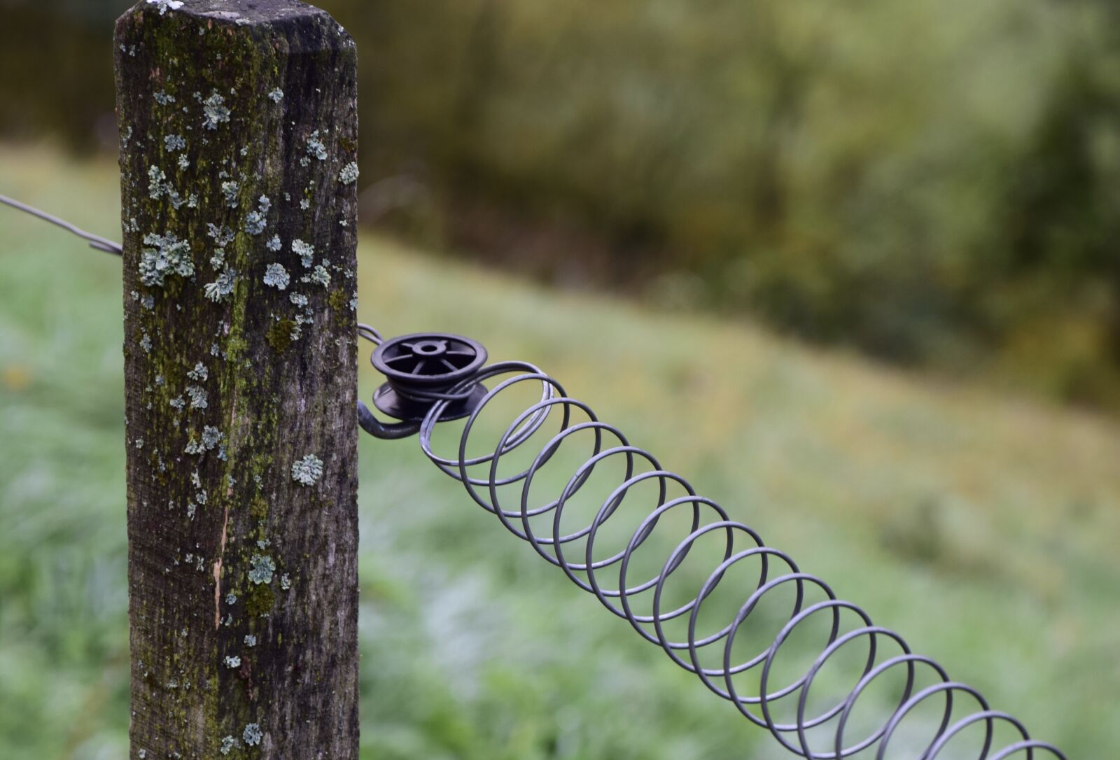 Nikon D5300 sample photo. Fence, wire, metal photography