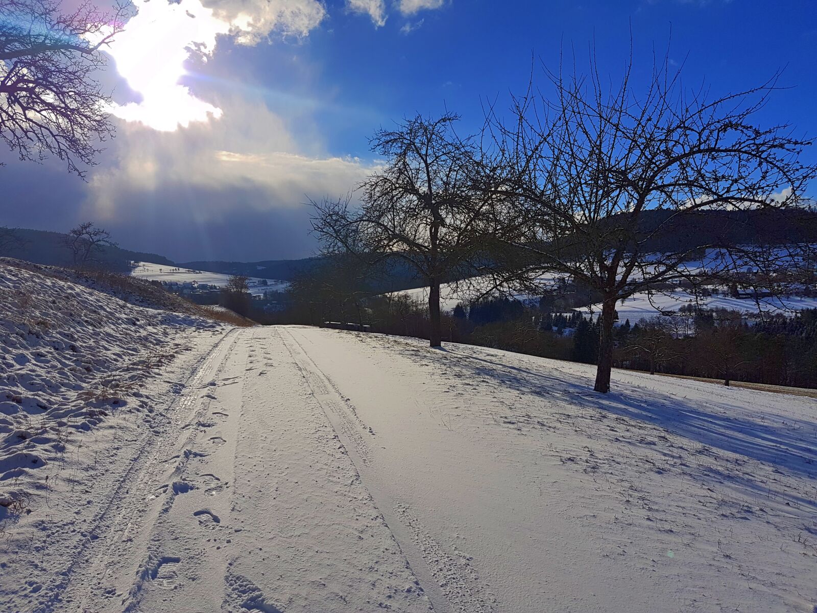 Samsung Galaxy S7 sample photo. Landscape, winter, frost photography