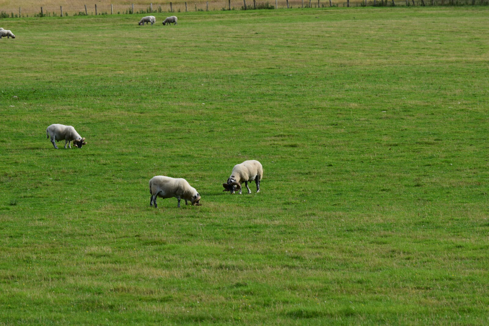 Nikon D3300 sample photo
