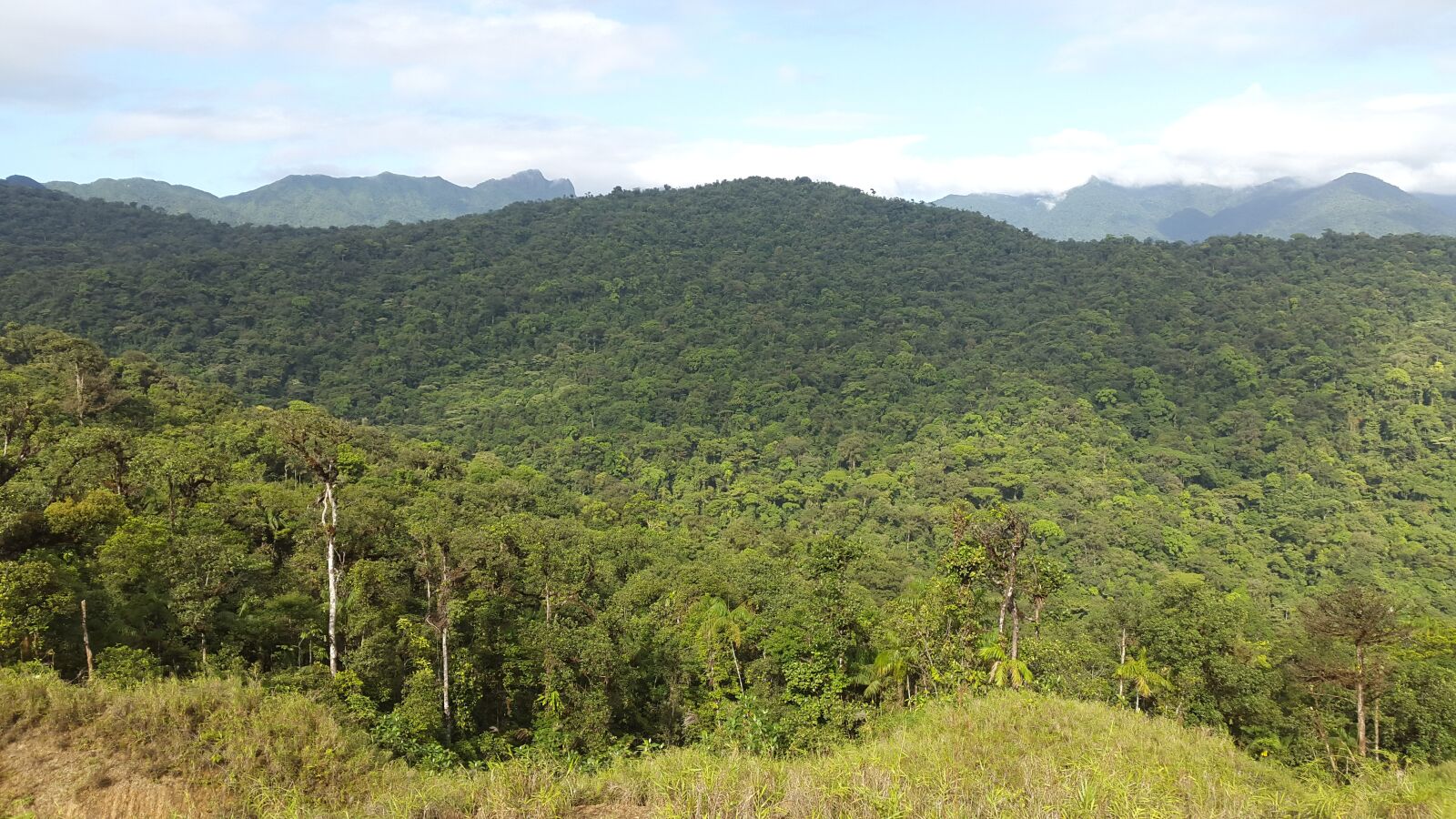 Samsung Galaxy S5 sample photo. Nature, mountains, tropical photography