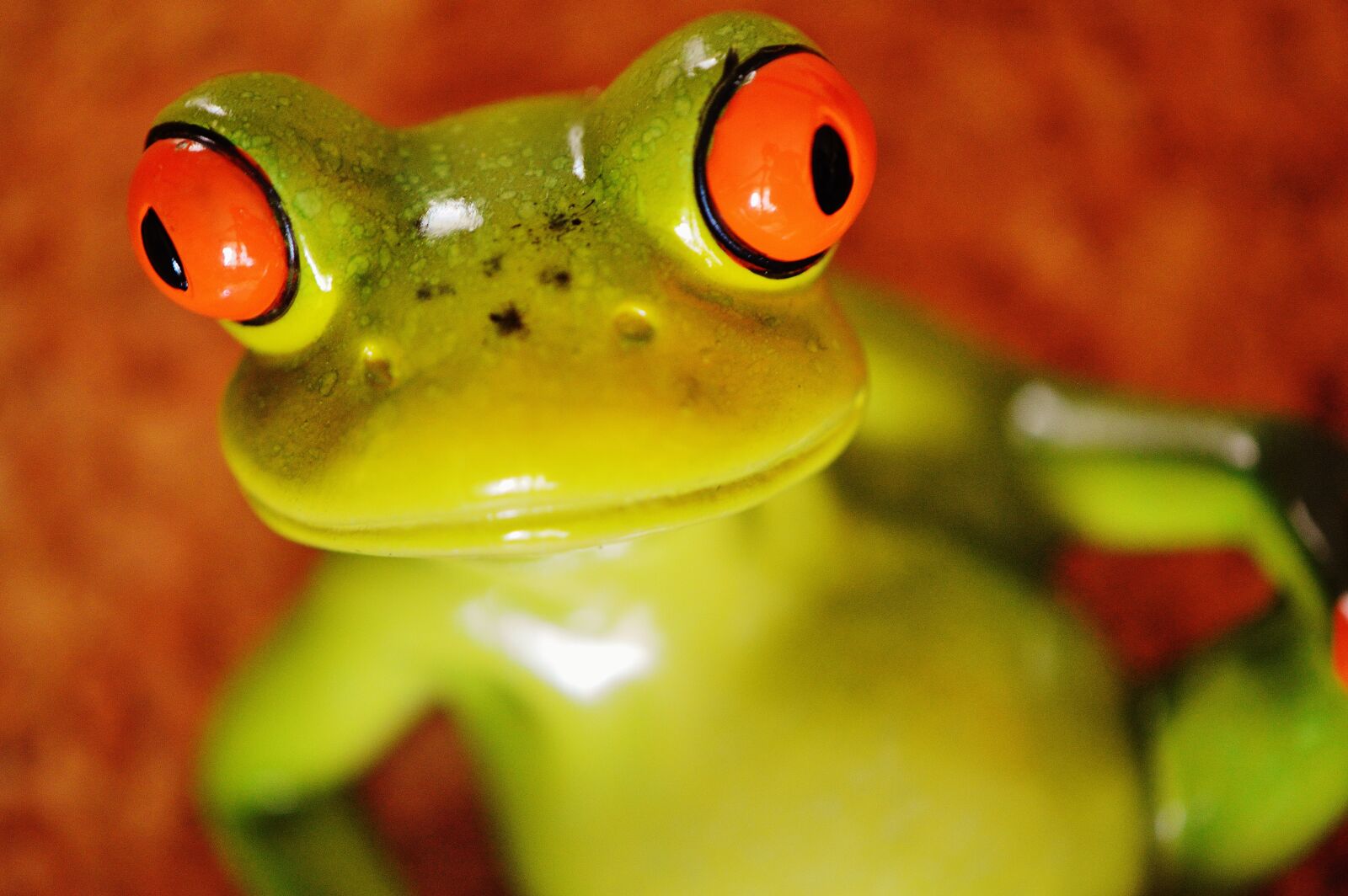 Nikon D3200 sample photo. Frog, funny, figure photography