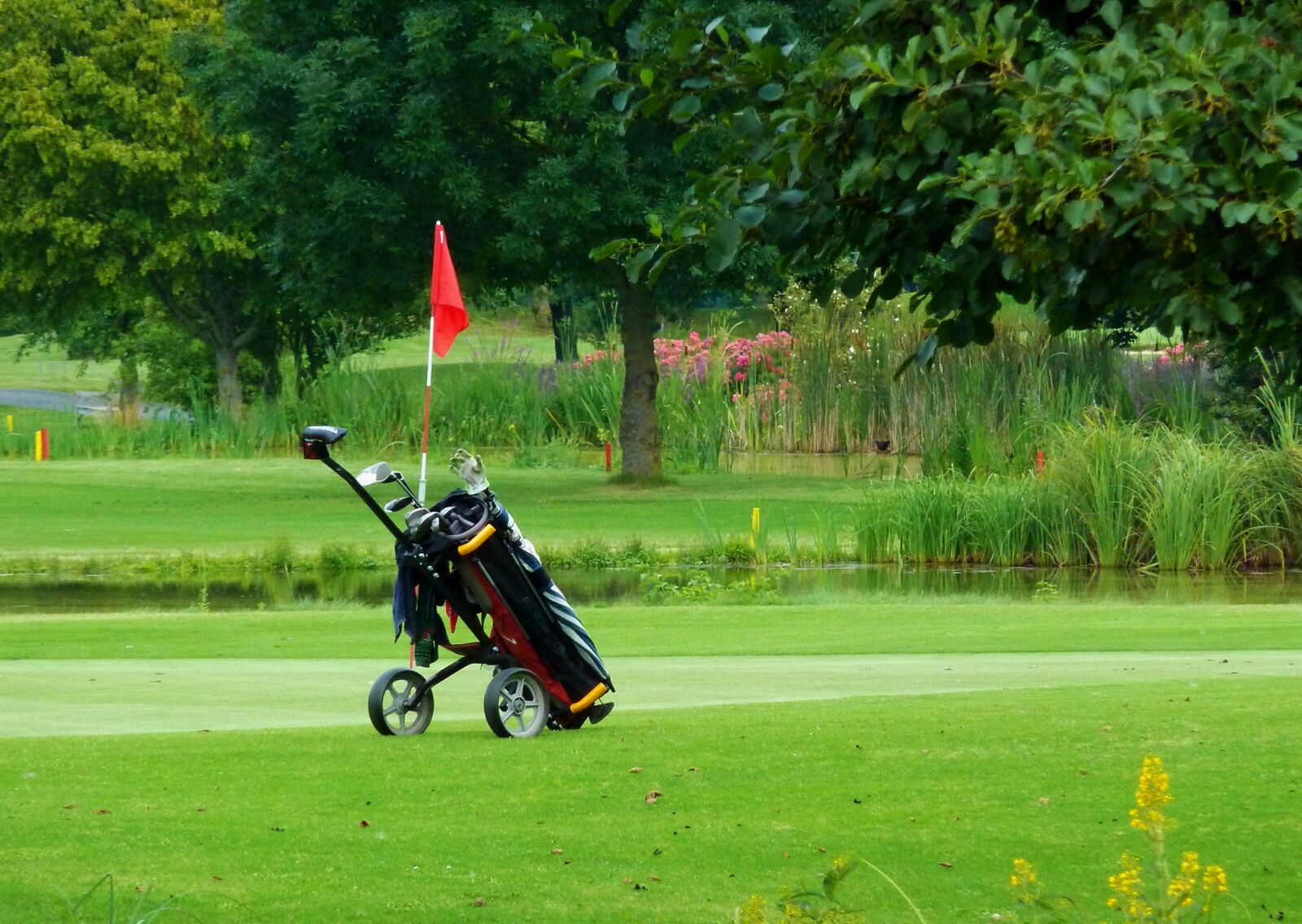 Panasonic DMC-TZ7 sample photo. Golf caddy, golf, green photography