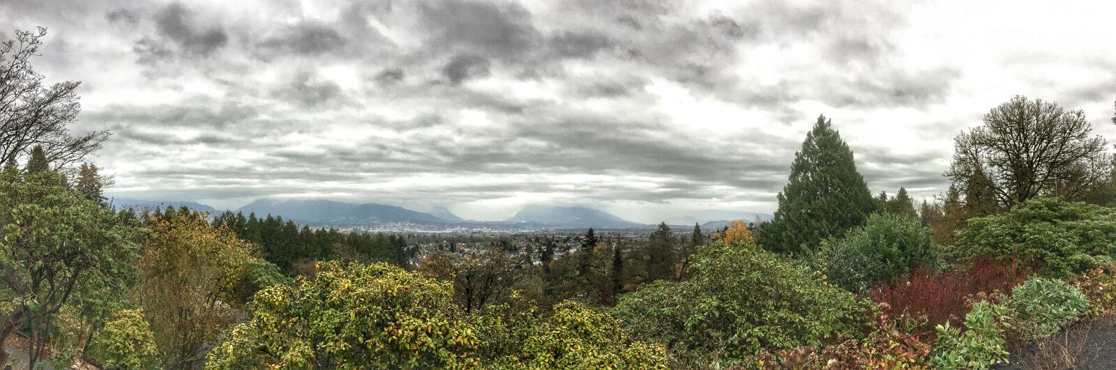 Apple iPhone 6s Plus sample photo. Landscape, scene, nature photography