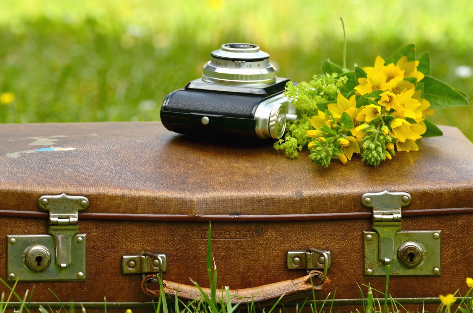 Nikon D5100 sample photo. Suitcase, flower, photo camera photography