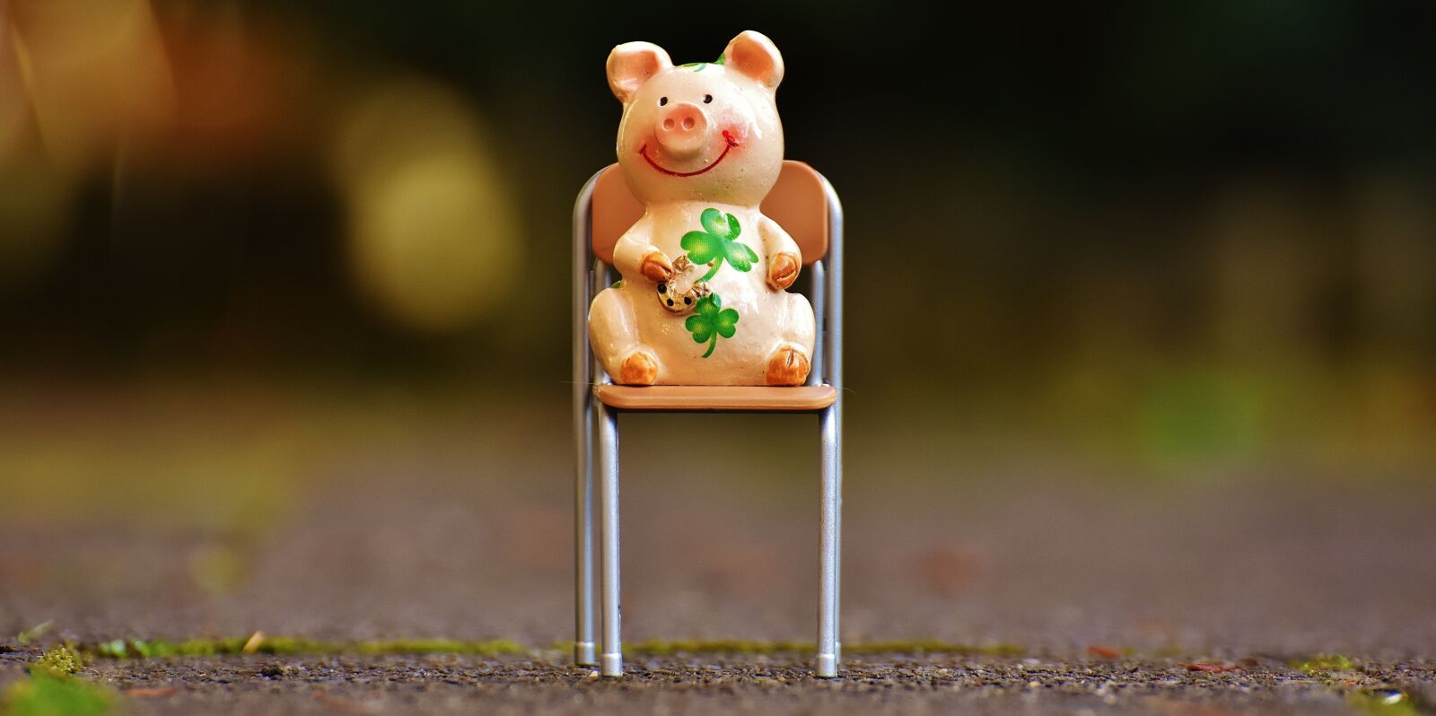 Nikon D7200 sample photo. Lucky pig, figure, luck photography