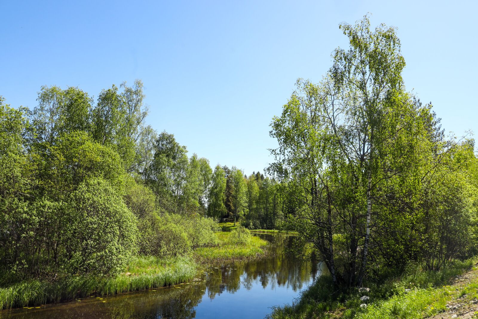 Canon EOS R sample photo. Water, lake, trees photography