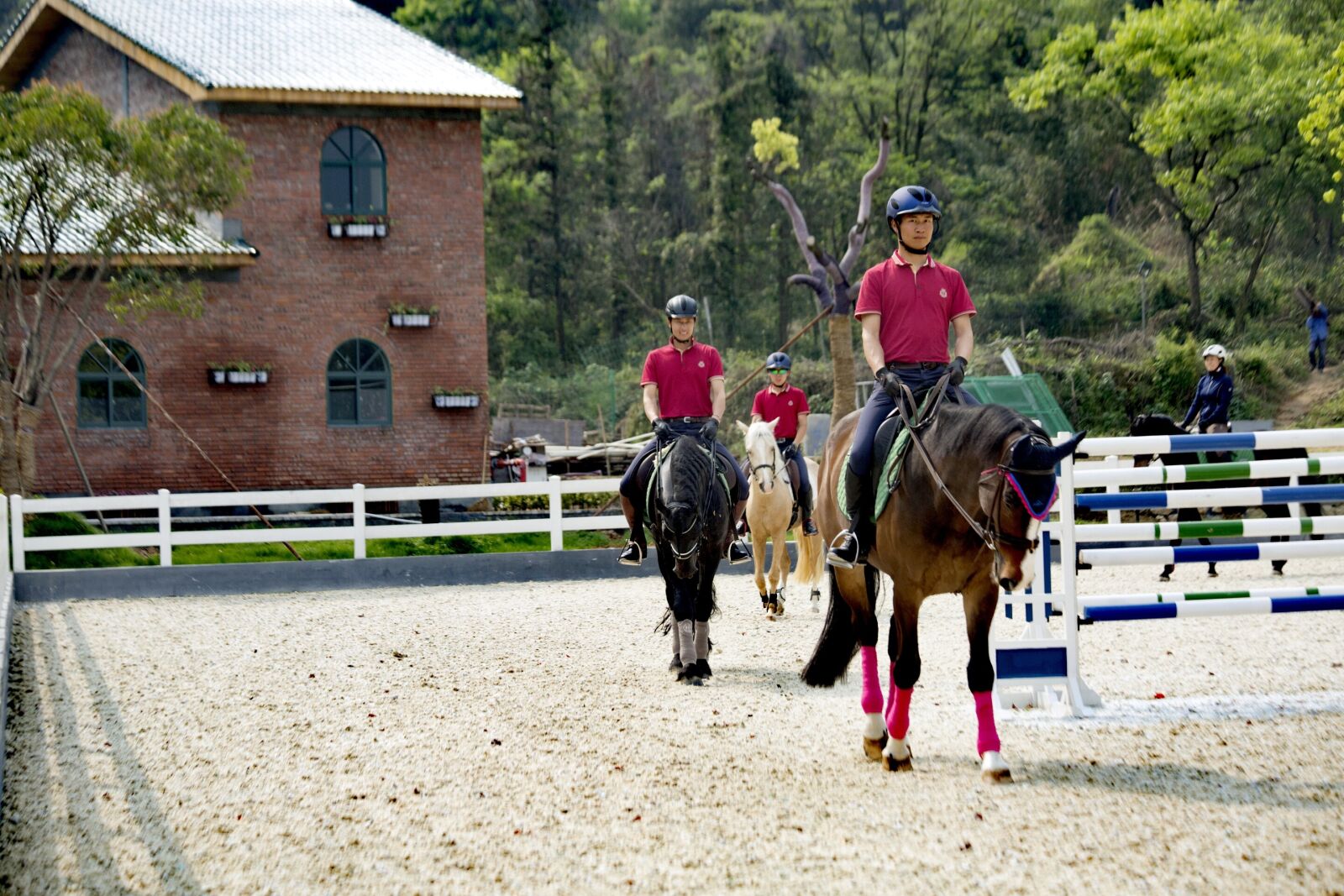 Canon EF 70-300mm F4-5.6 IS USM sample photo. Horse, riding, equestrian photography