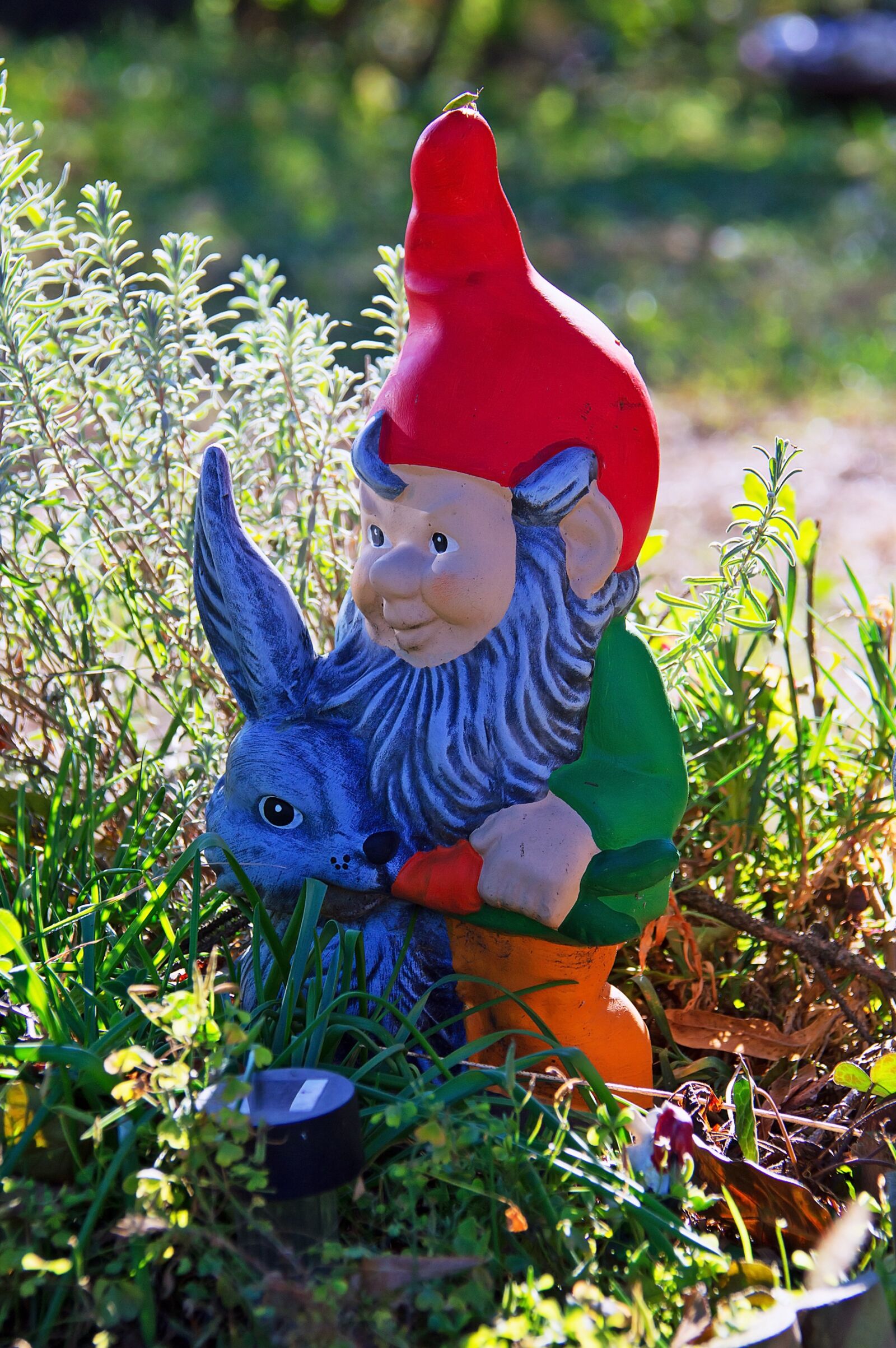 Nikon D3200 sample photo. Garden gnome, garden, mood photography