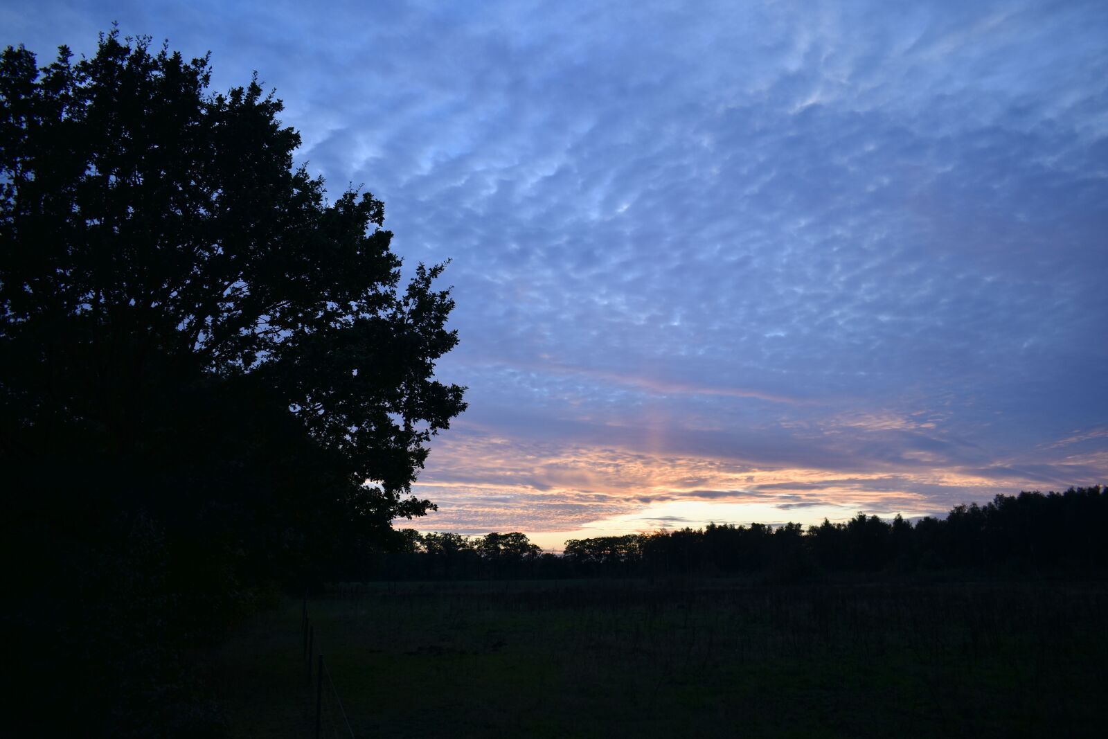 Nikon D3500 sample photo. Evening red, evening, sunset photography