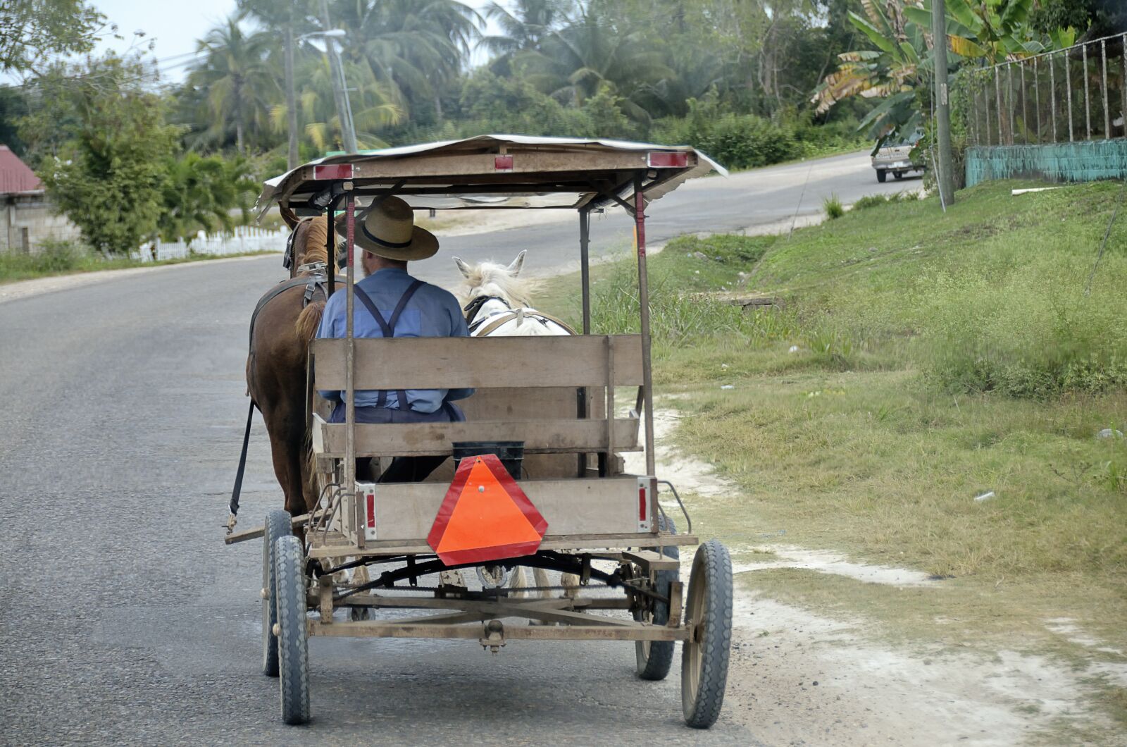 Nikon D7000 sample photo. Central america, belize, horse photography
