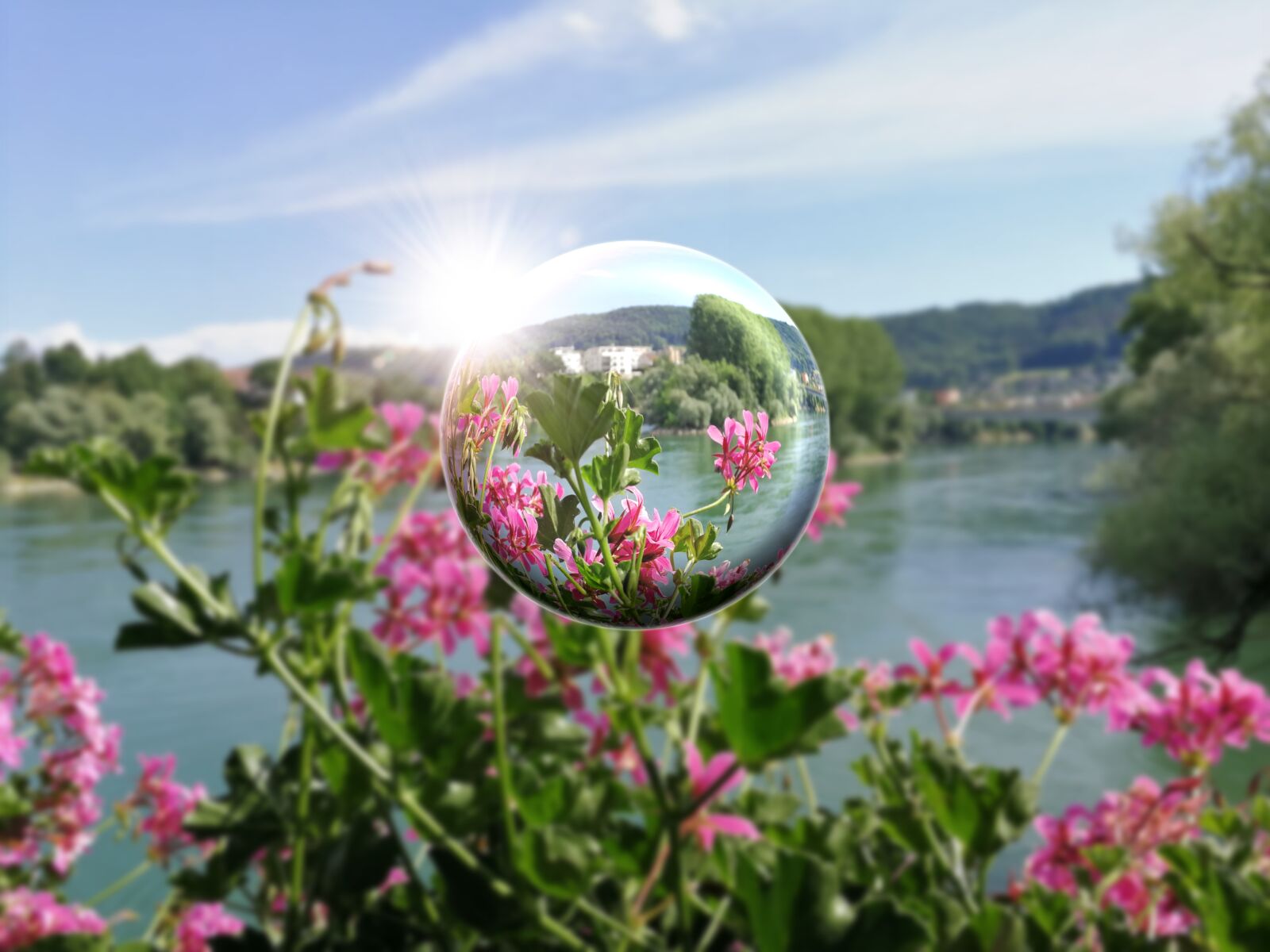 HUAWEI P10 sample photo. Summer time, flowers, summer photography