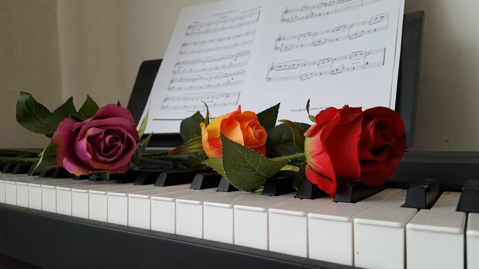 Samsung GALAXY S6 edge sample photo. Piano, rose photography
