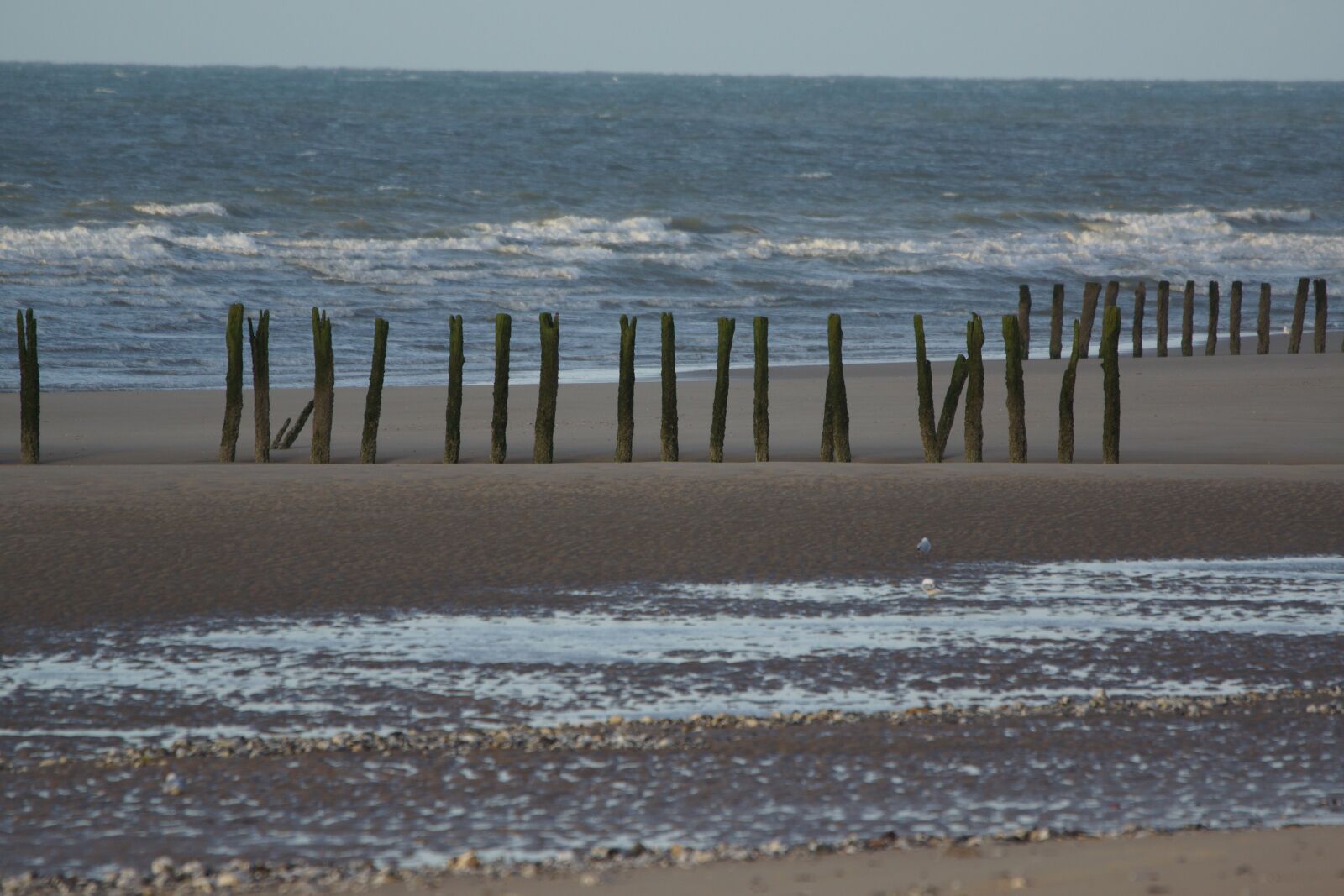 Sony SLT-A77 sample photo. Coast, forward, grey photography