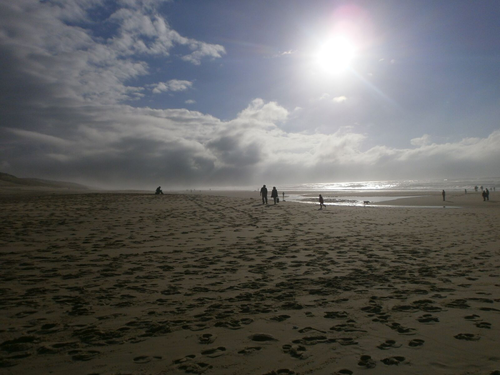 Olympus VG110,D700 sample photo. Beach, windy, landscape photography
