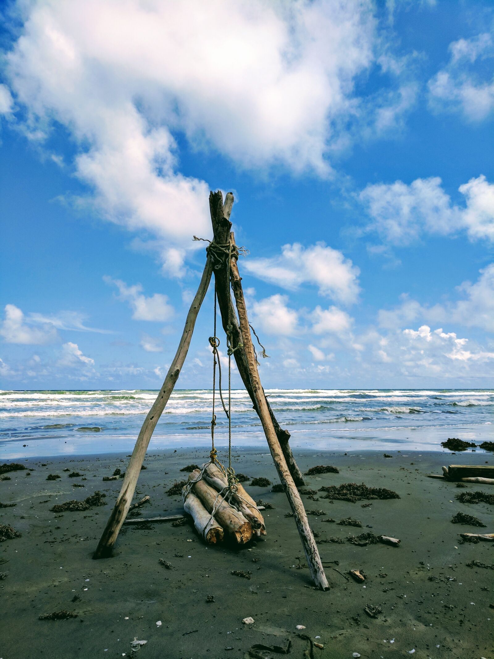 Google Pixel sample photo. Beach, firewood, blue sky photography