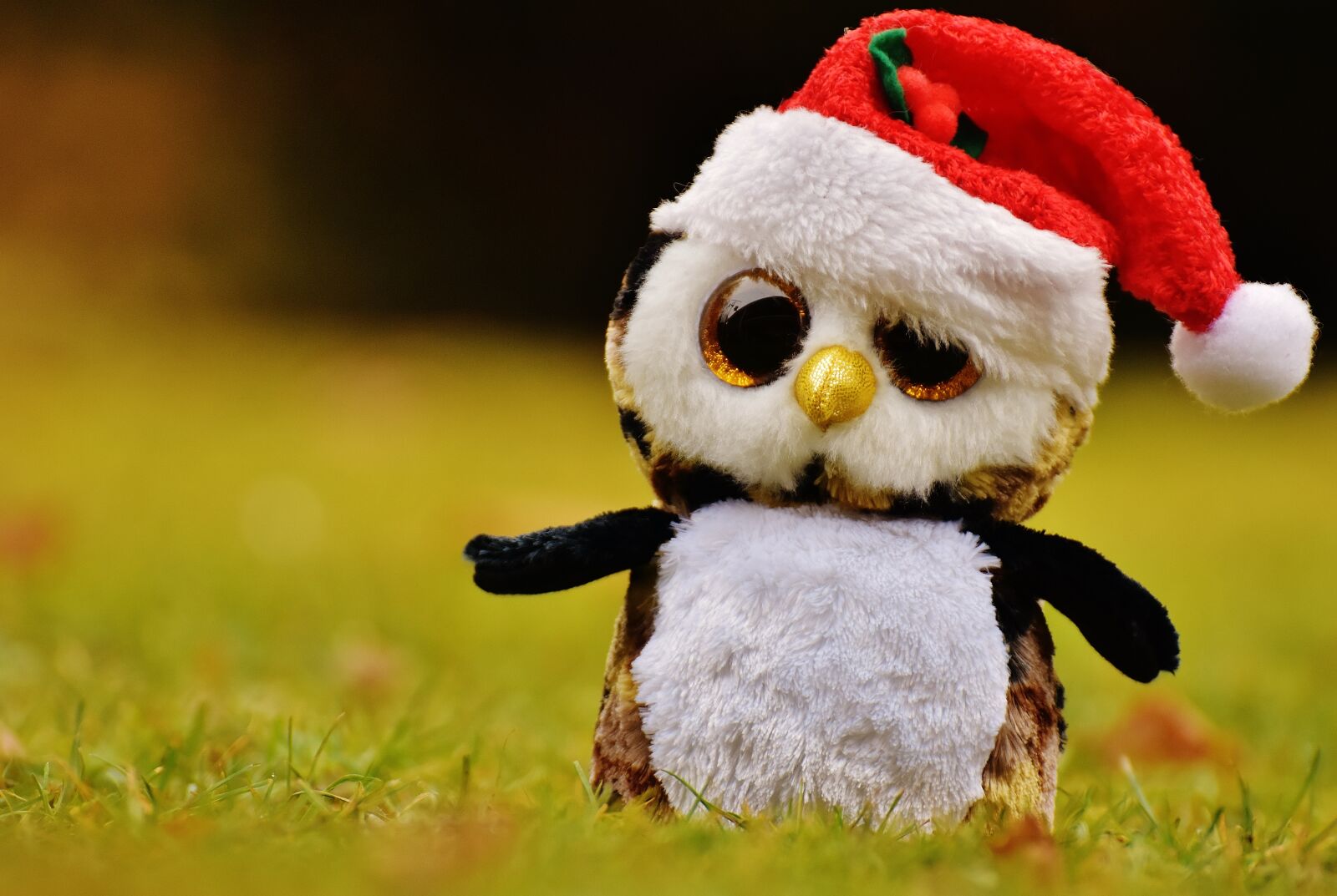 Nikon D7200 sample photo. Christmas, owl, stuffed animal photography