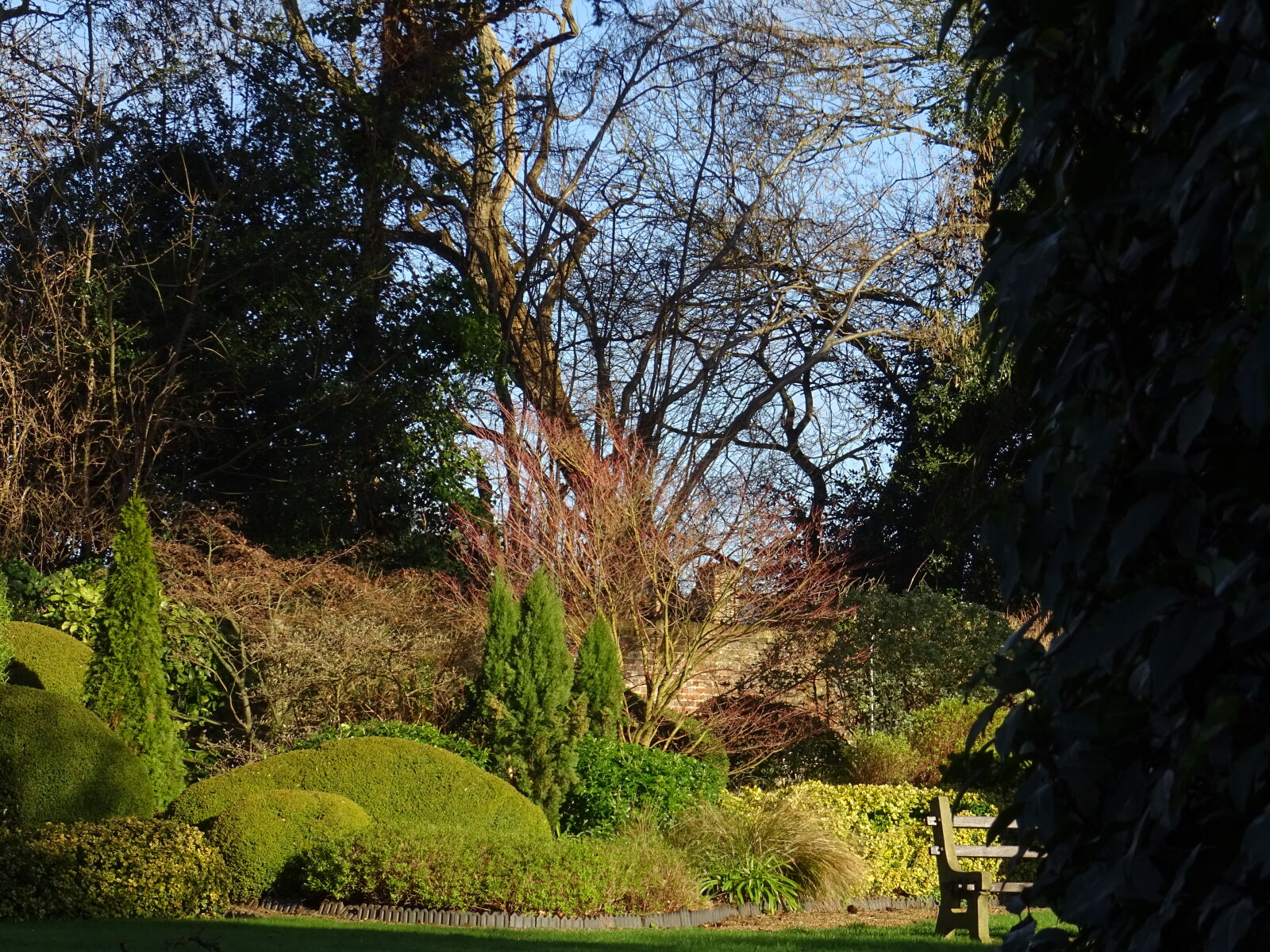 Sony DSC-HX60 sample photo. Bench, daylight, environment, garden photography