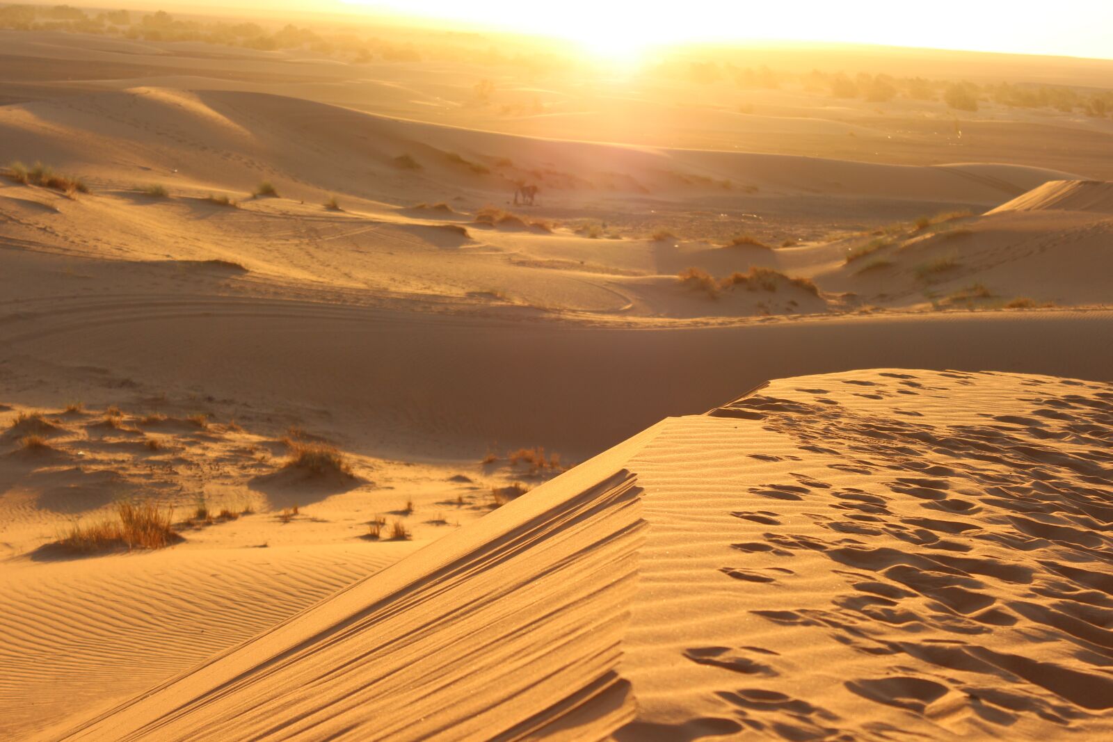Canon EOS 600D (Rebel EOS T3i / EOS Kiss X5) sample photo. Morocco, desert, berber photography