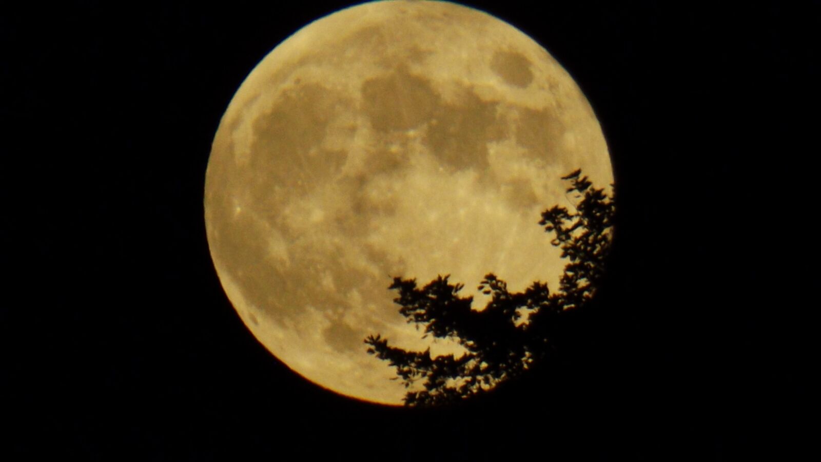 Fujifilm FinePix S4700 sample photo. Moon, night, nature photography