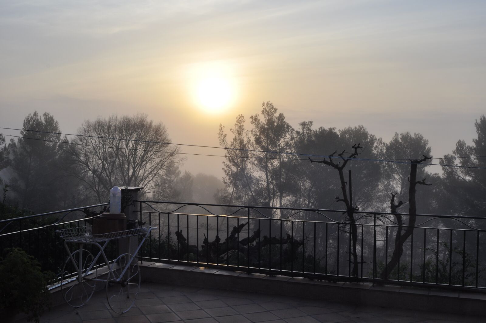 Nikon D90 sample photo. Fog, horizontal plane, dawn photography