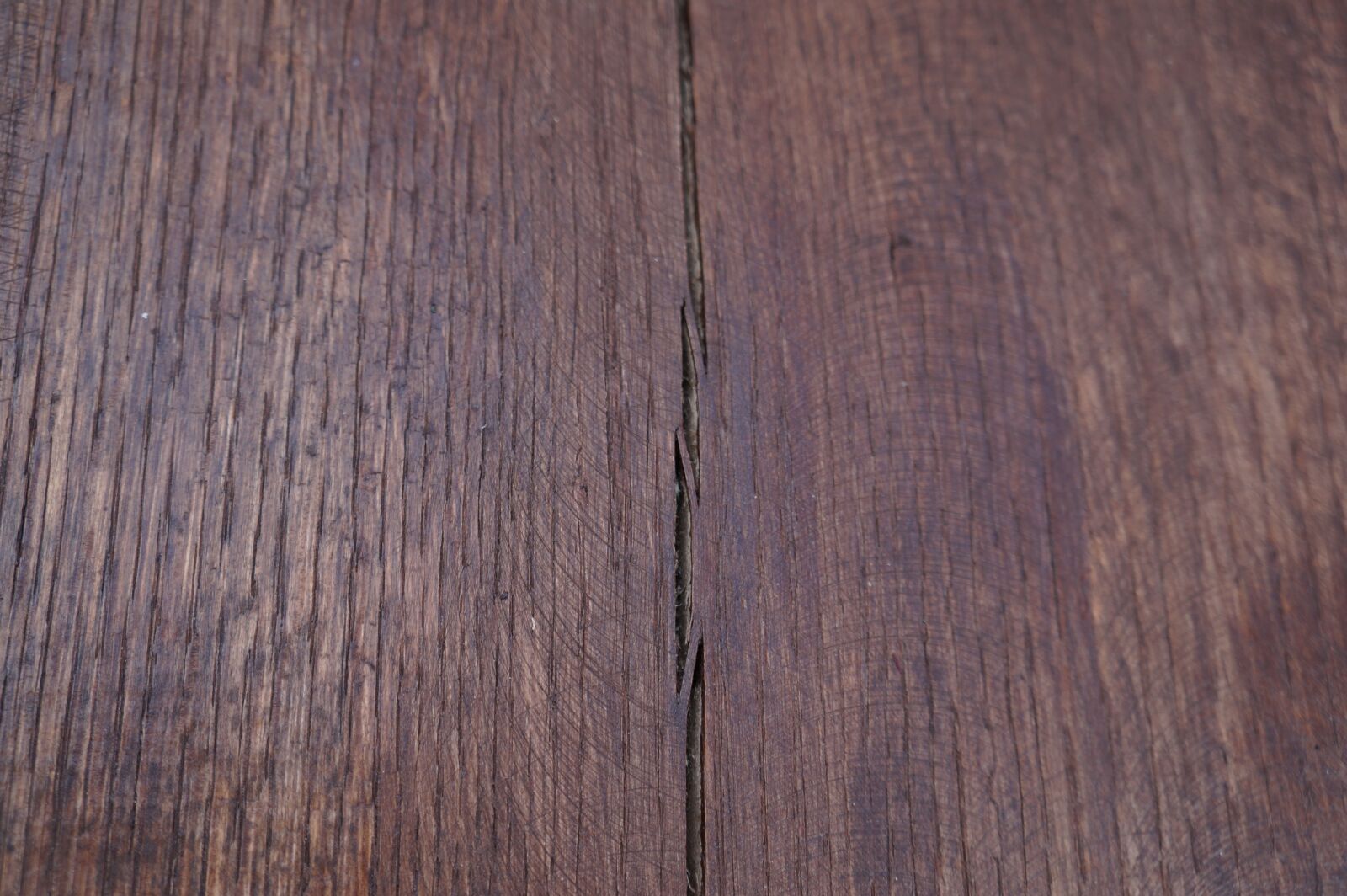 Sony Alpha a3000 sample photo. Texture, wood, brown photography
