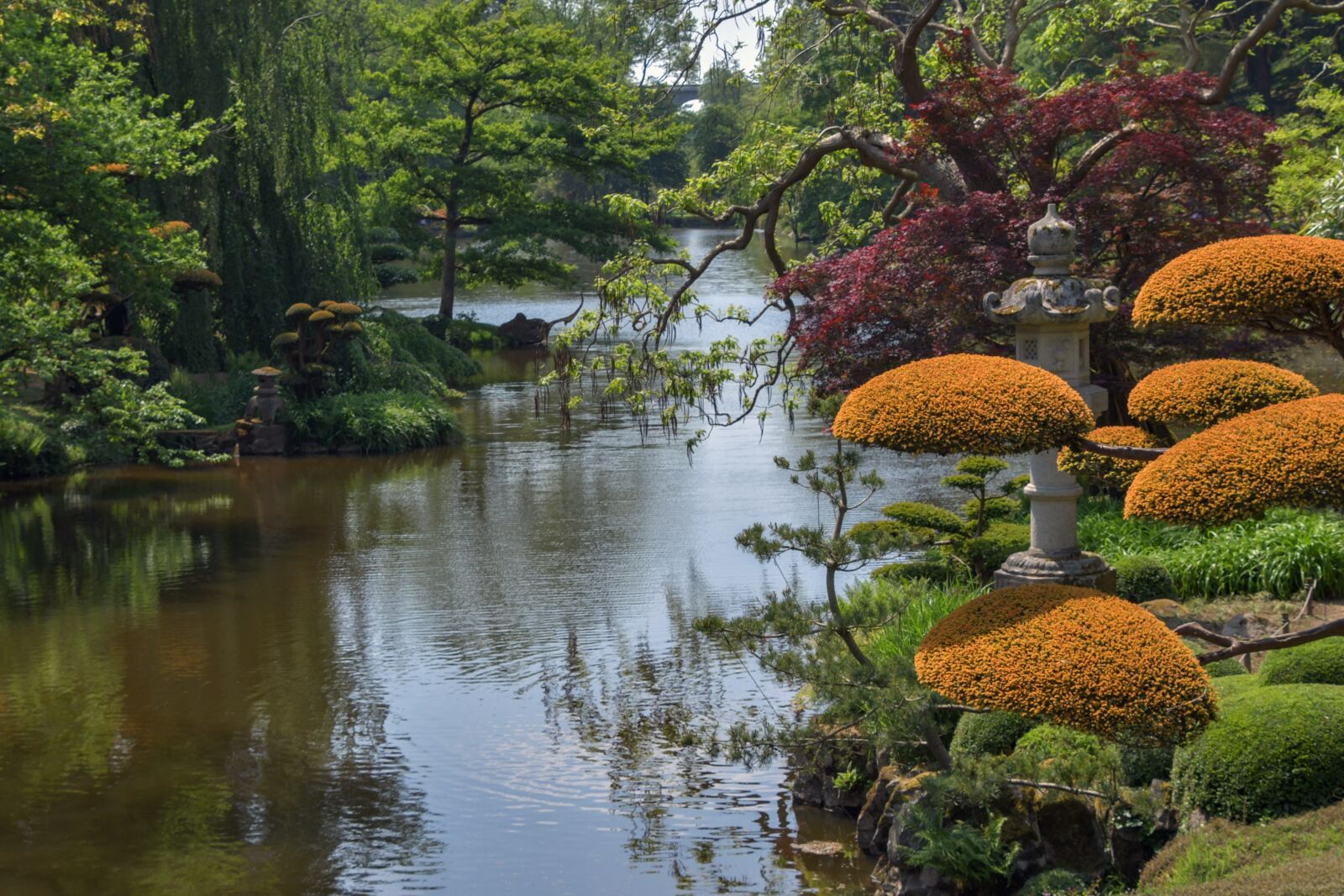 Nikon D500 sample photo. Garden, oriental, botany photography