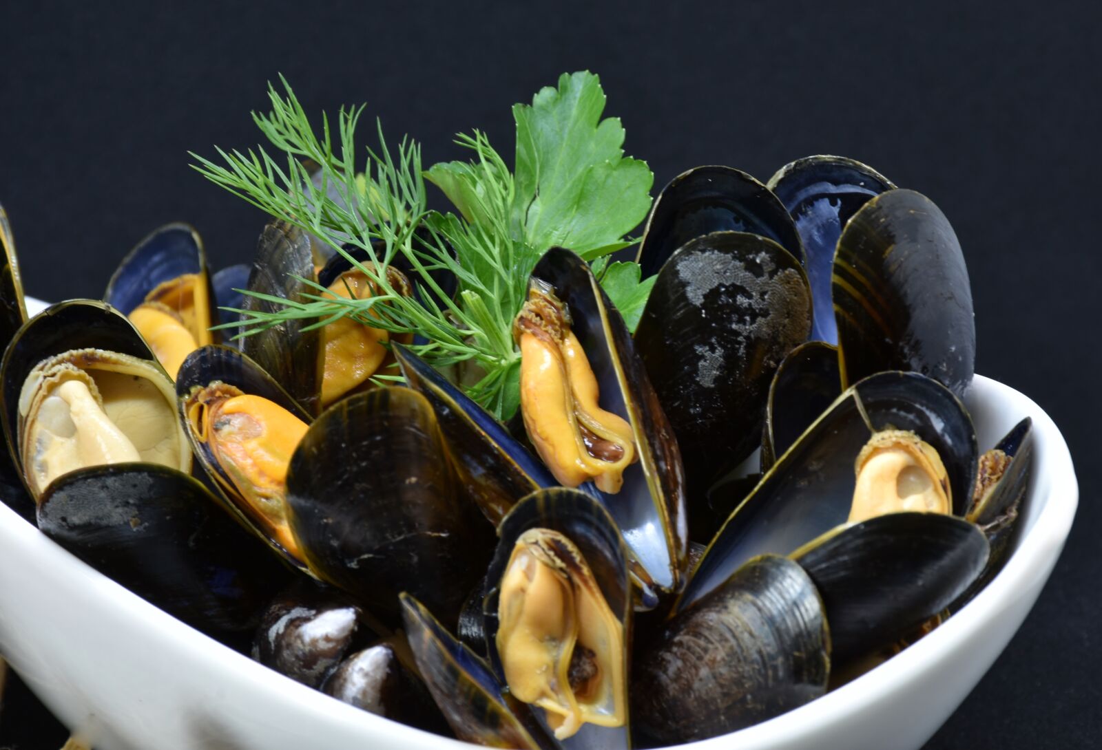 Nikon D7200 sample photo. Mussels, mussel, common mussel photography