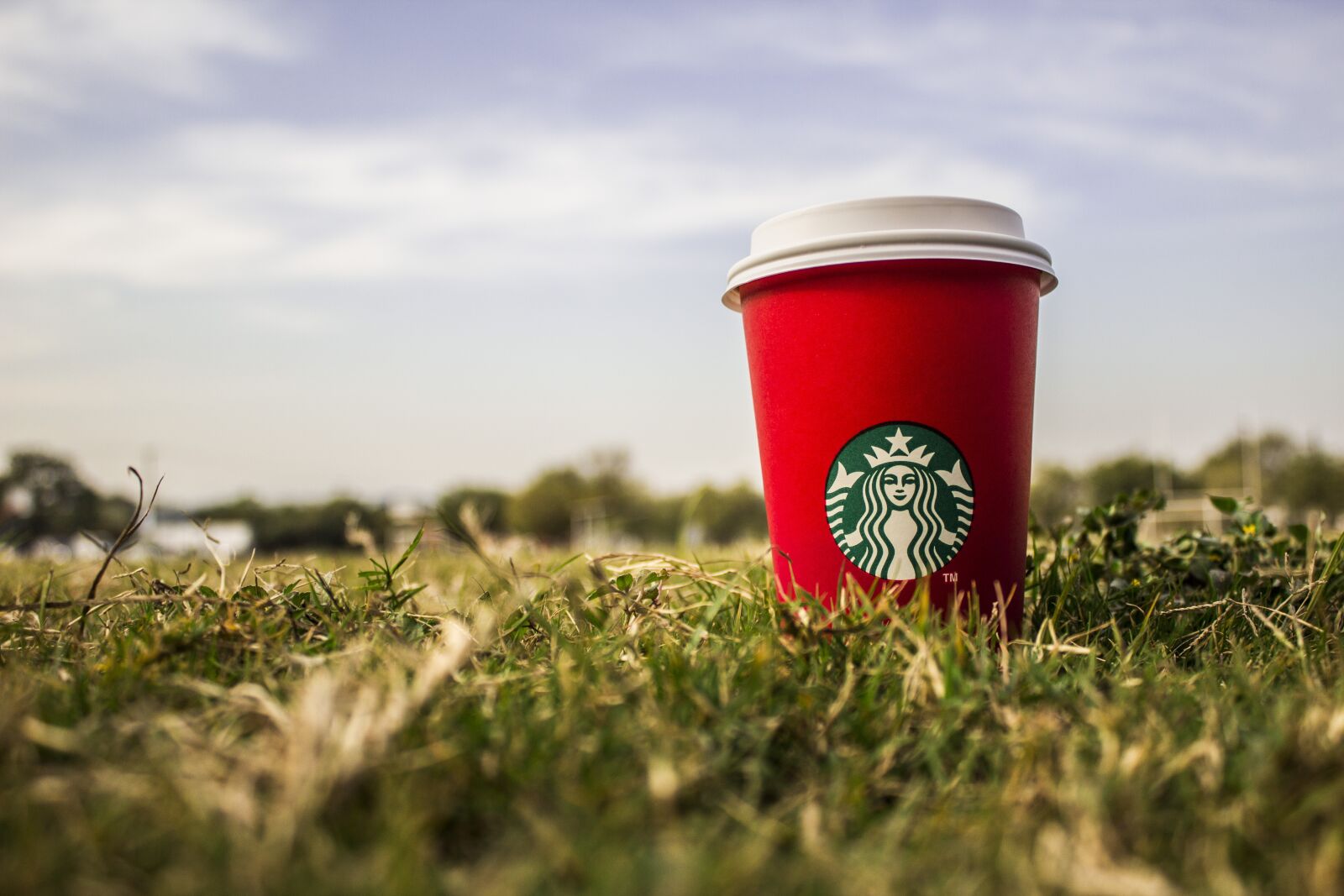 Canon EOS 600D (Rebel EOS T3i / EOS Kiss X5) sample photo. Starbucks, christmas, lawn photography