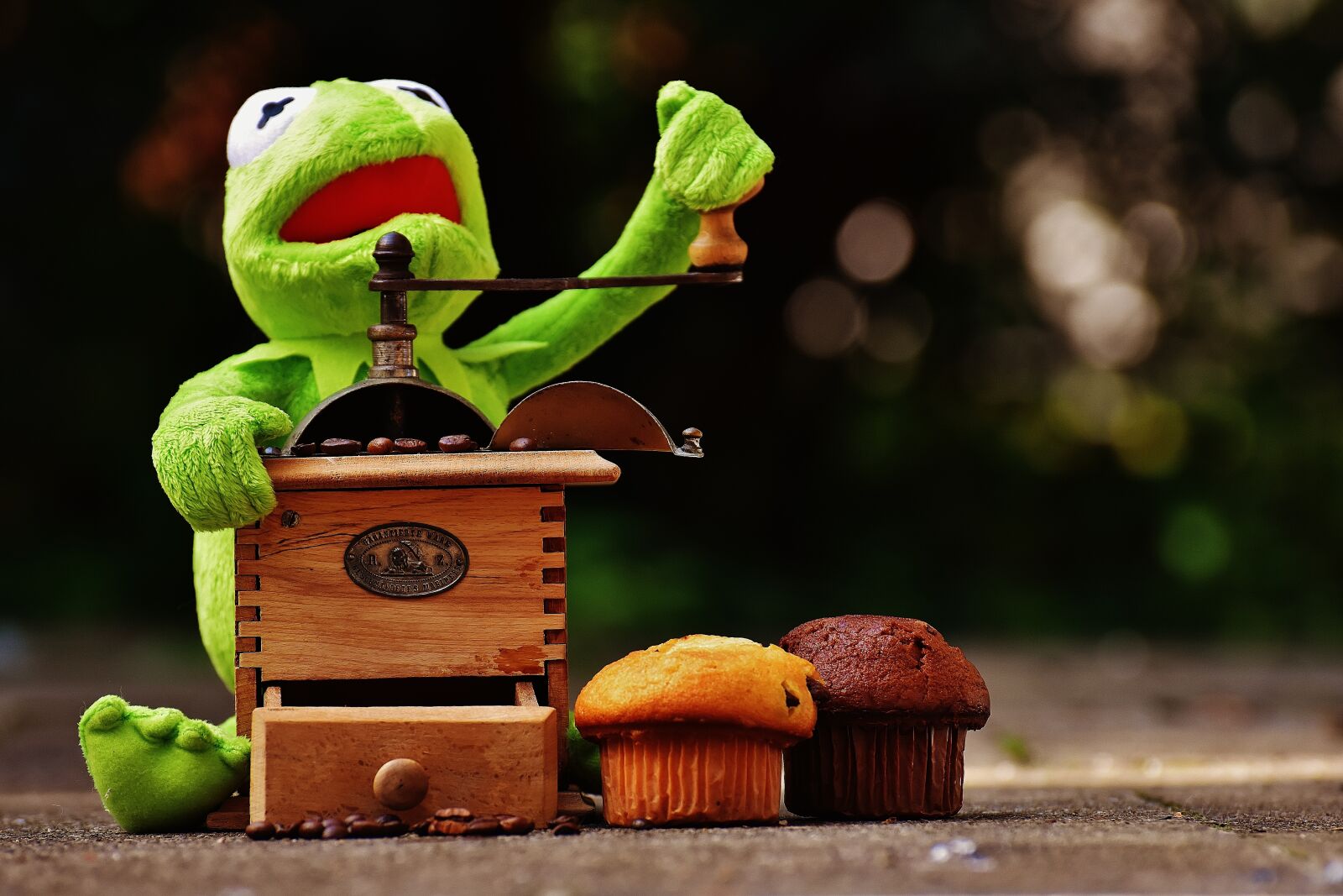 Nikon D7200 sample photo. Kermit, frog, grinder photography