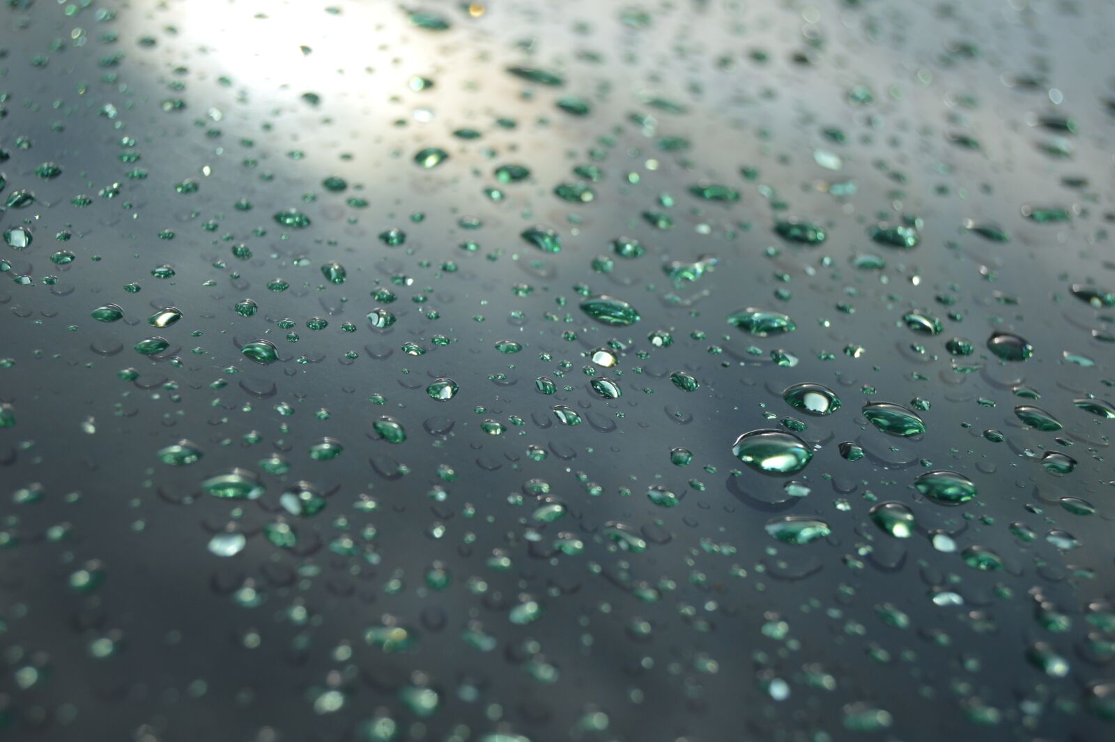 Nikon D3200 sample photo. Drops, rain, rain drops photography
