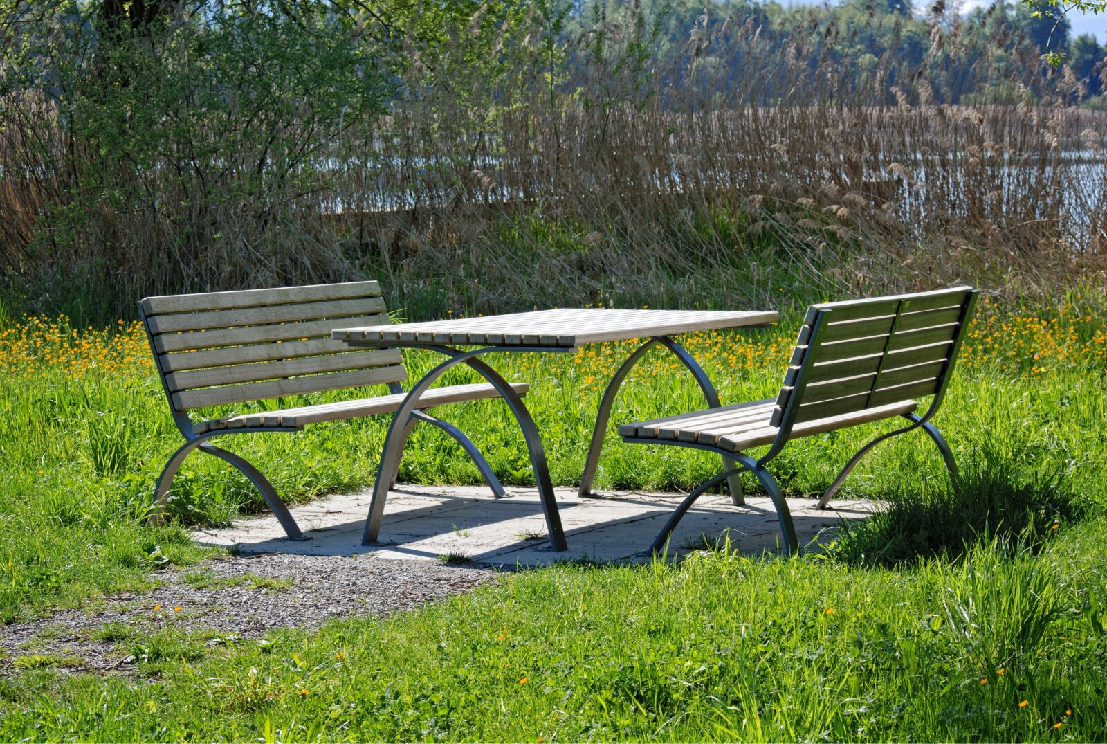 55.0-200.0mm f/4.0-f/5.6 sample photo. Seat, nature, bank photography