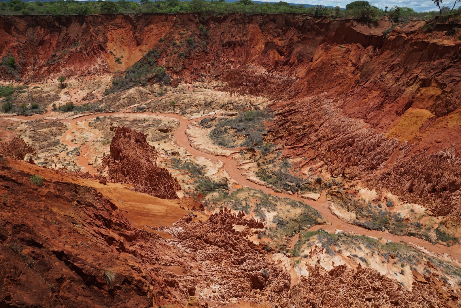 Sony ILCA-77M2 + Sony DT 16-50mm F2.8 SSM sample photo. Park, madagascar, tsingy rouge photography