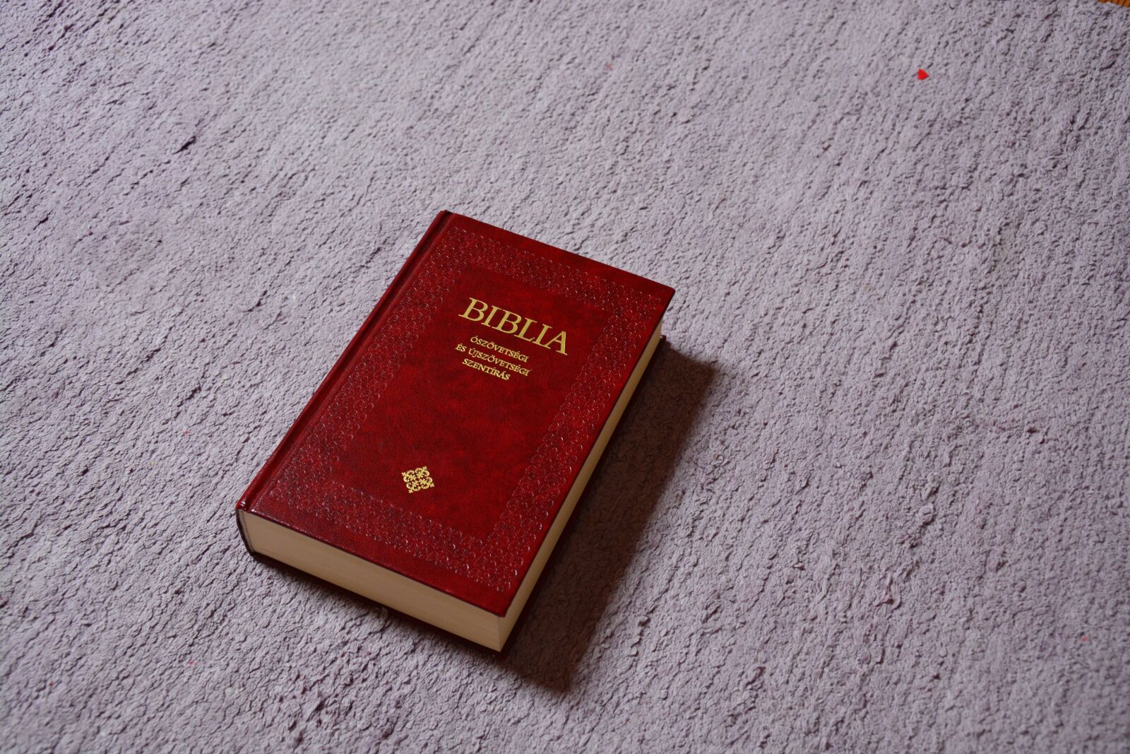 Nikon D5200 sample photo. Bible, scripture, christian photography