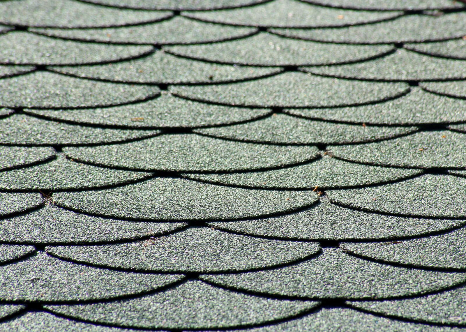 Canon EOS 1200D (EOS Rebel T5 / EOS Kiss X70 / EOS Hi) sample photo. The roof of the photography