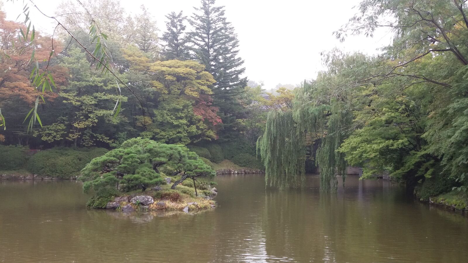 Samsung Galaxy J7 sample photo. Fog, pond, trees photography