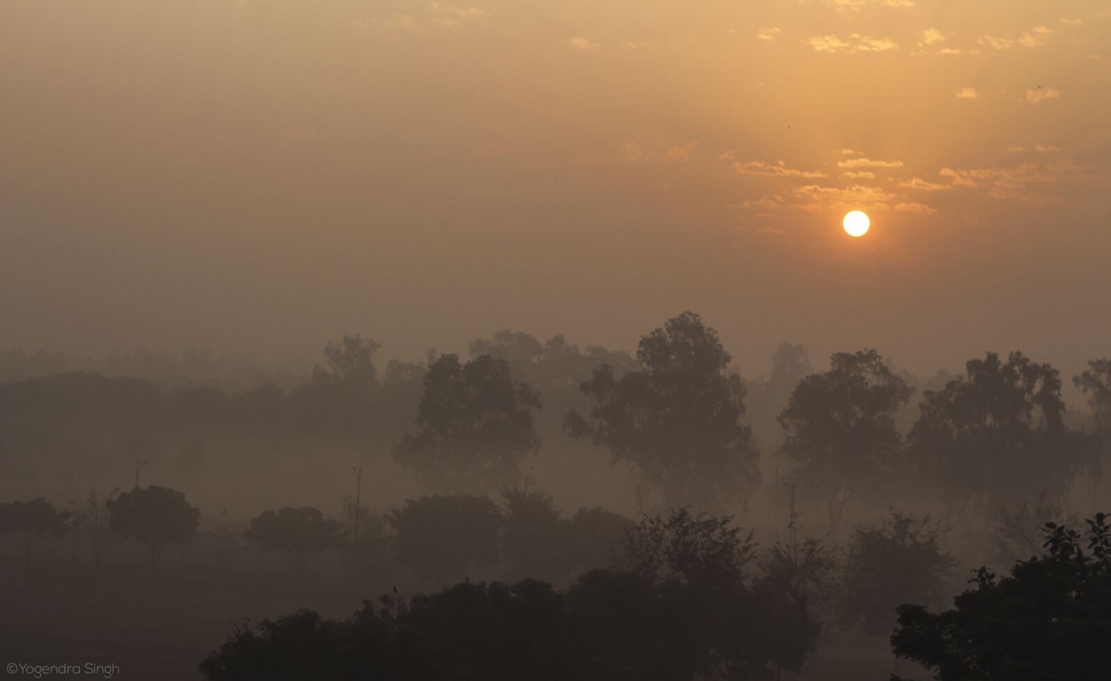 Canon EOS 700D (EOS Rebel T5i / EOS Kiss X7i) + Canon EF 50mm F1.8 II sample photo. Landscape, sunrise, nature photography