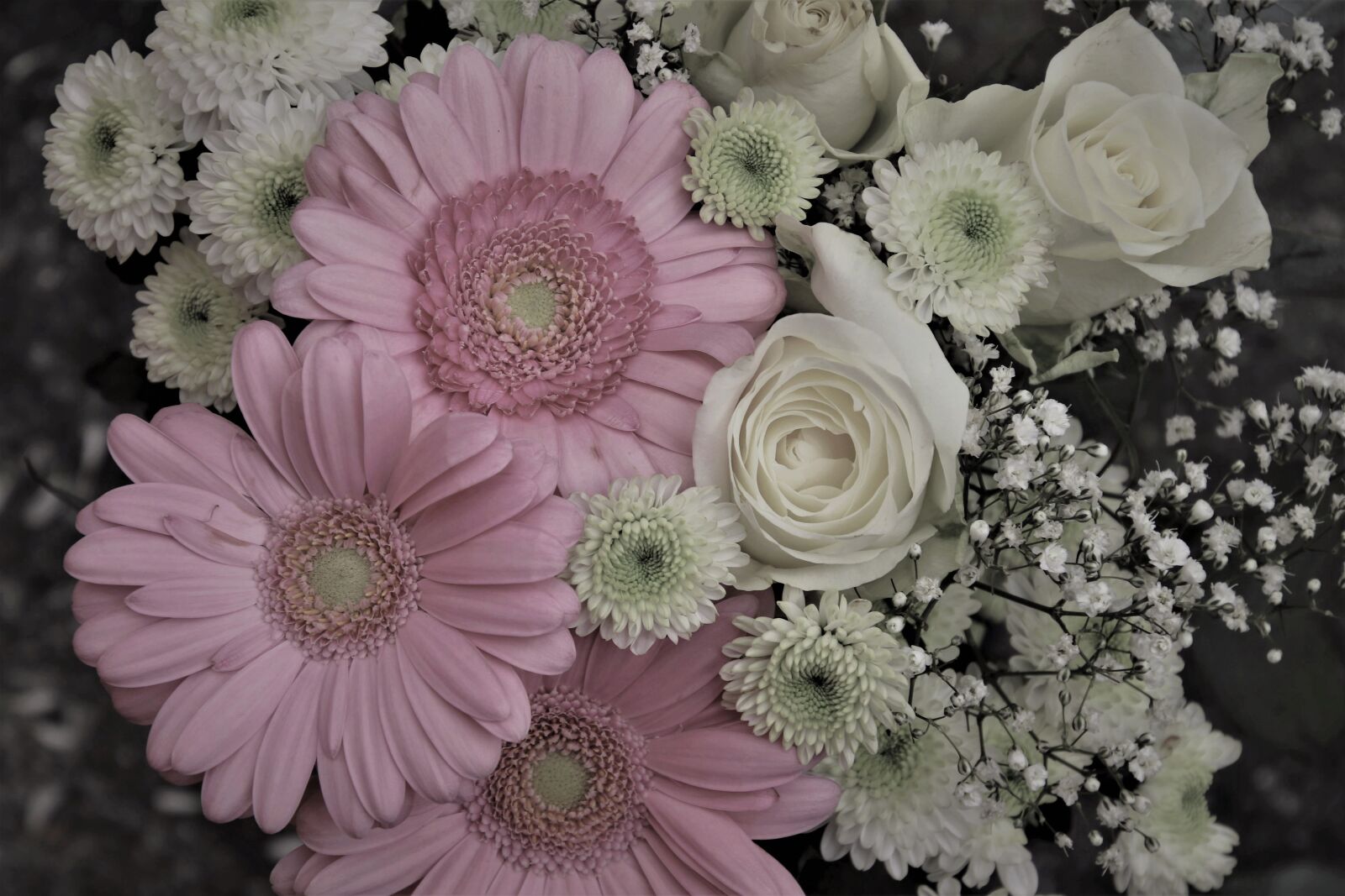 Canon EOS 80D sample photo. Bouquet, gerberas, roses photography