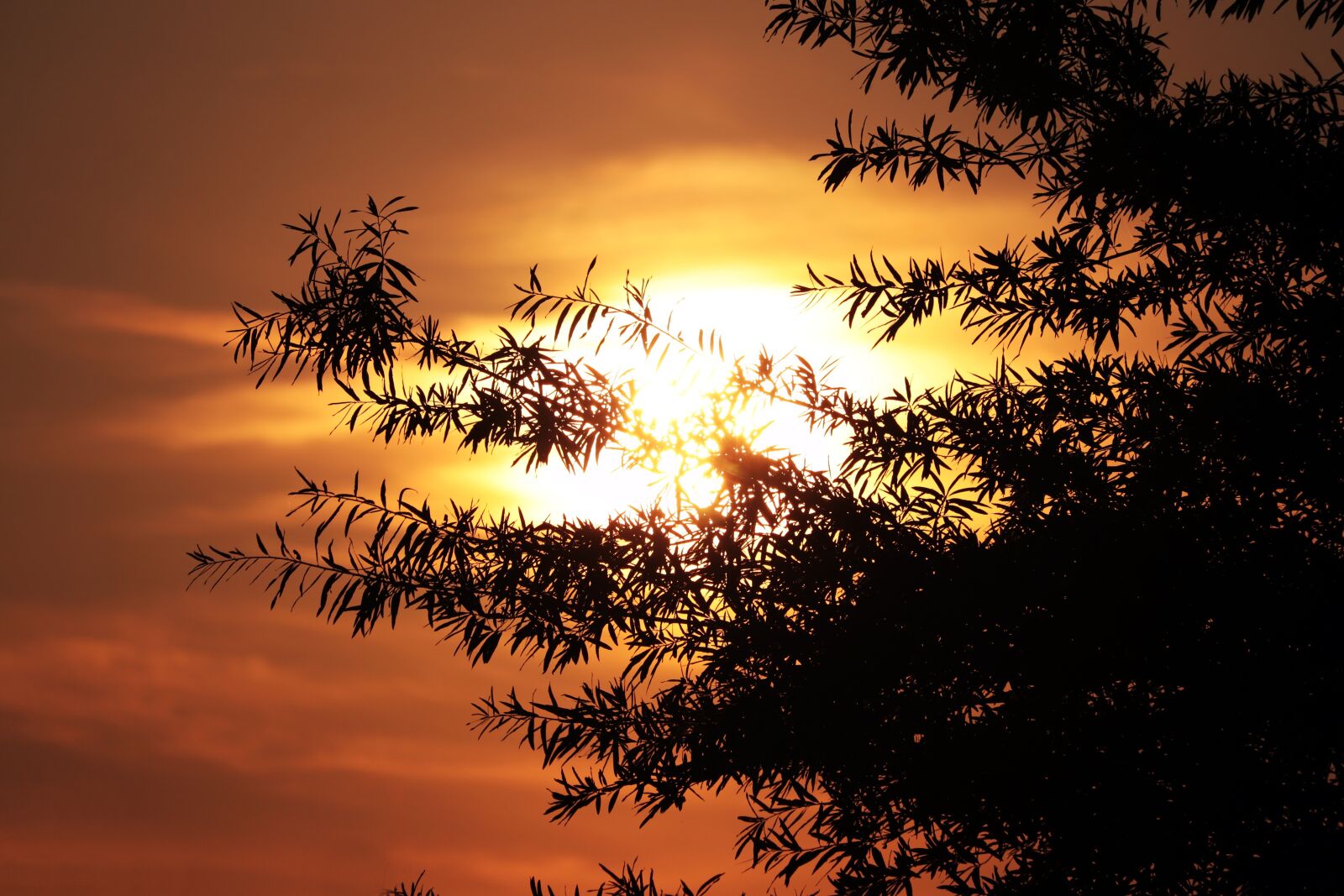 Canon EF-S 55-250mm F4-5.6 IS STM sample photo. Sunset, afterglow, sun photography
