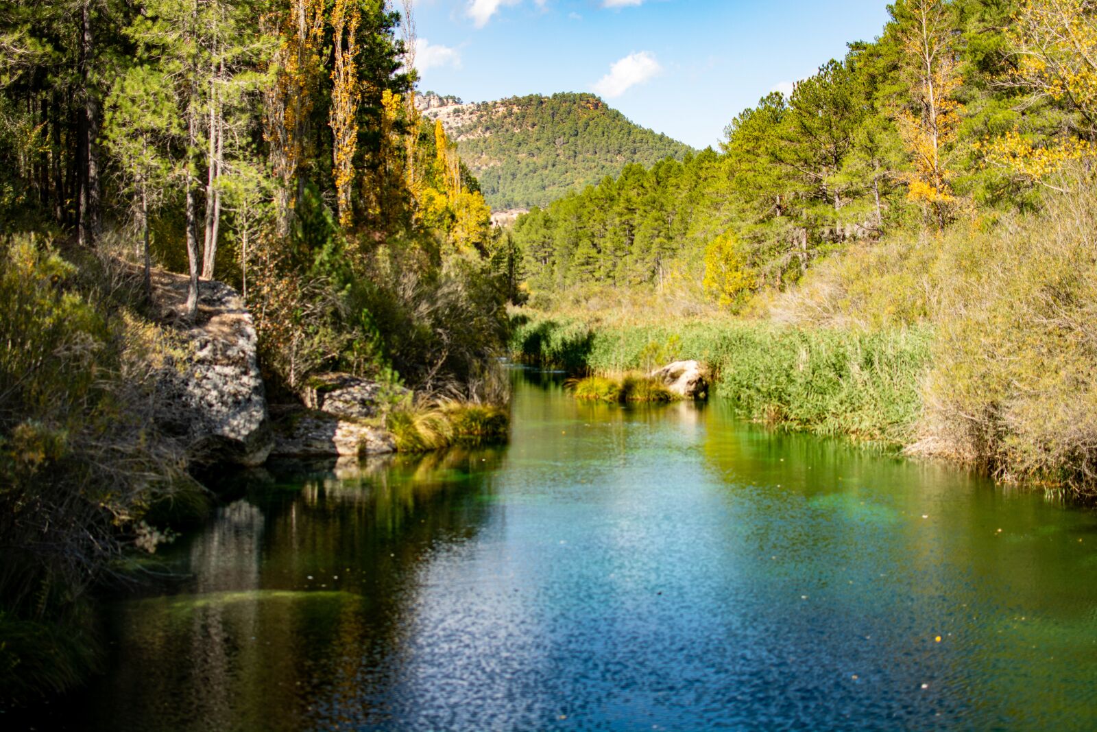 Nikon D7100 sample photo. River, trees, landscape photography